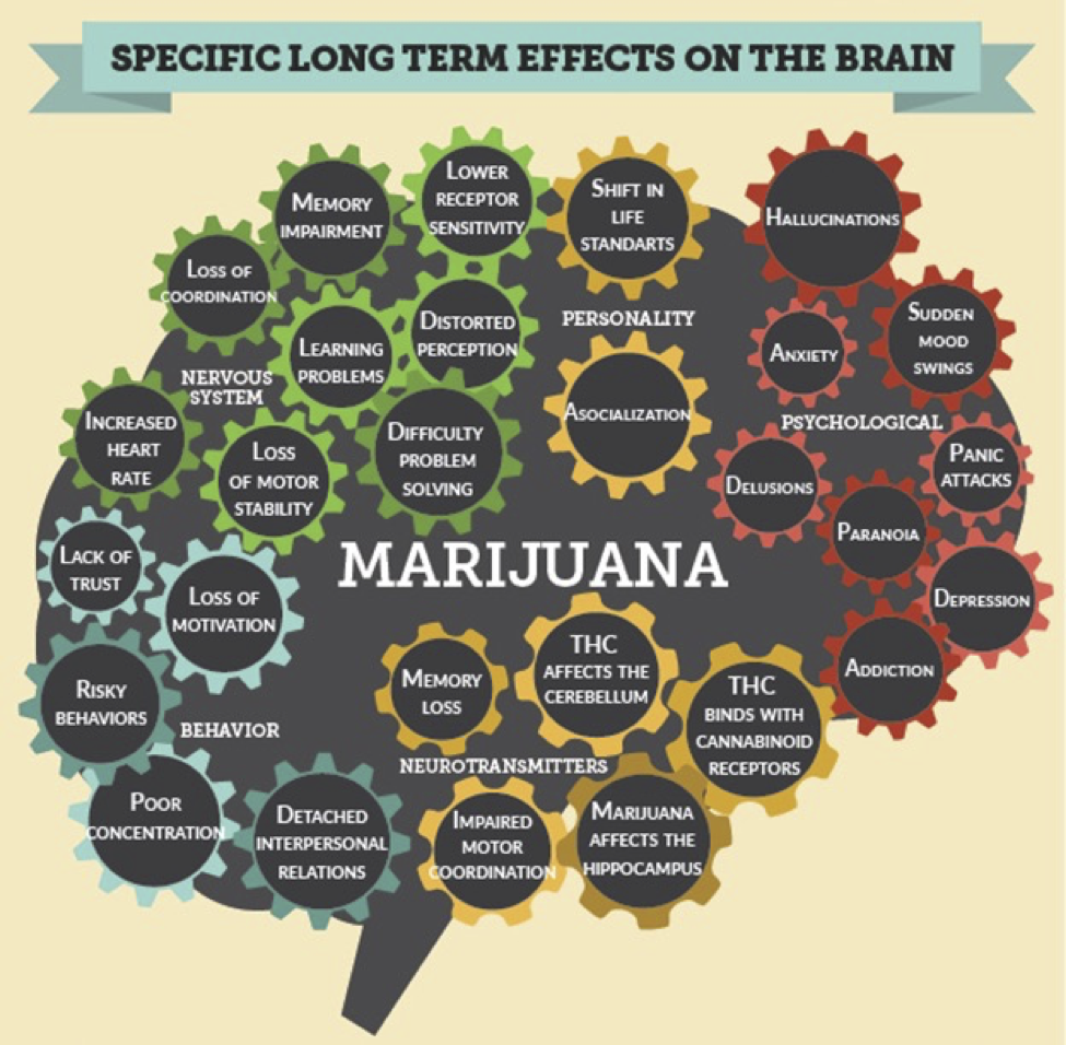 Marijuana Effect. Marijuana Brain Effects. Long term marijuana Effects on Brain. Marijuana long term Effects Brain. Effect terms