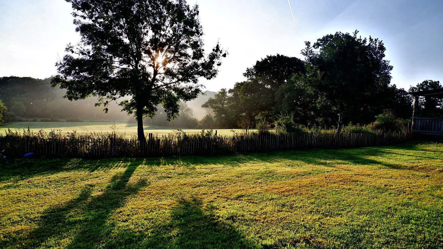 More morning pictures by the Log Store and in the Orchard 🍃 
&bull;
&bull;
&bull;
#morning #longacre #edenvalley #kingsmeaburn #cumbria #venue