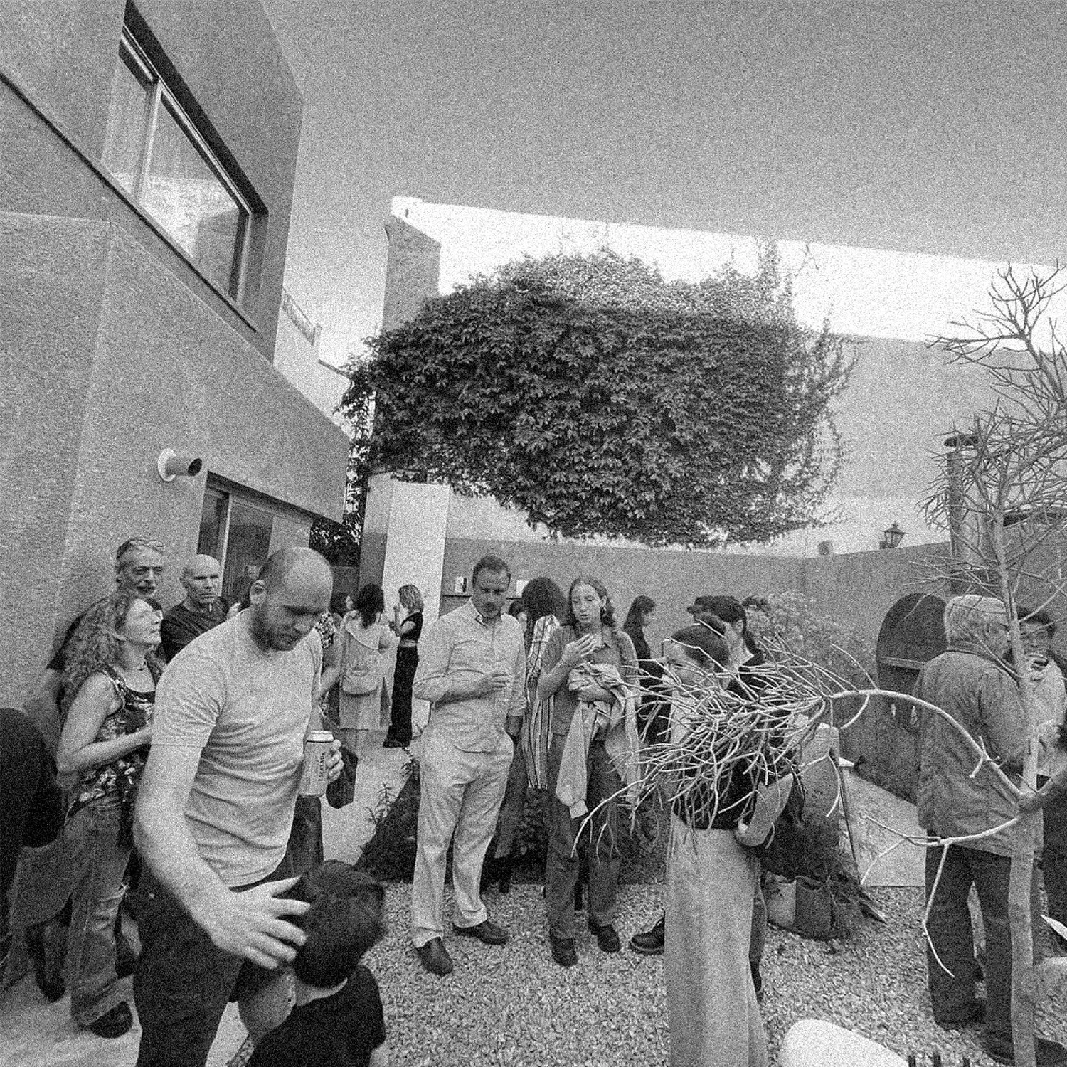 SOL en ROSA web 11.jpg