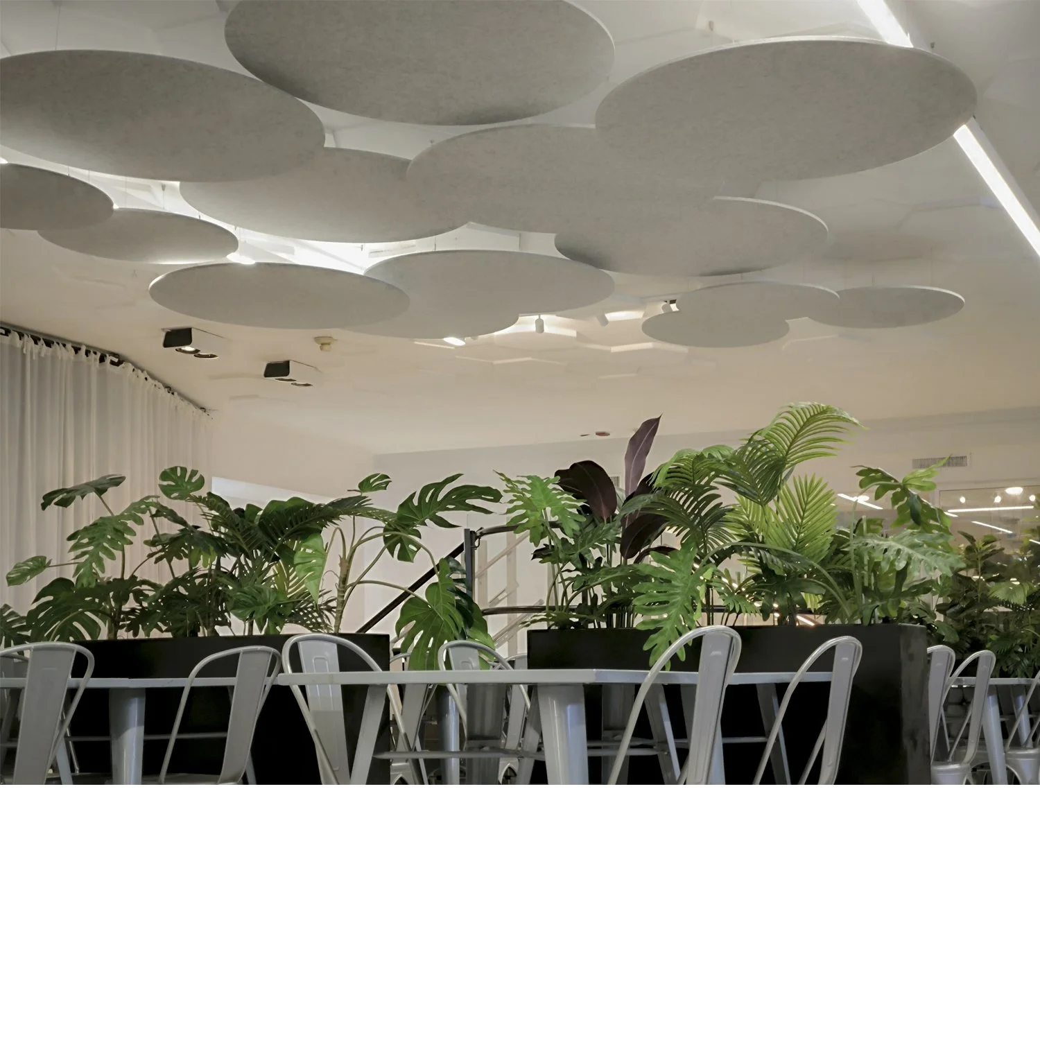 AMIA BAR web 11.jpg