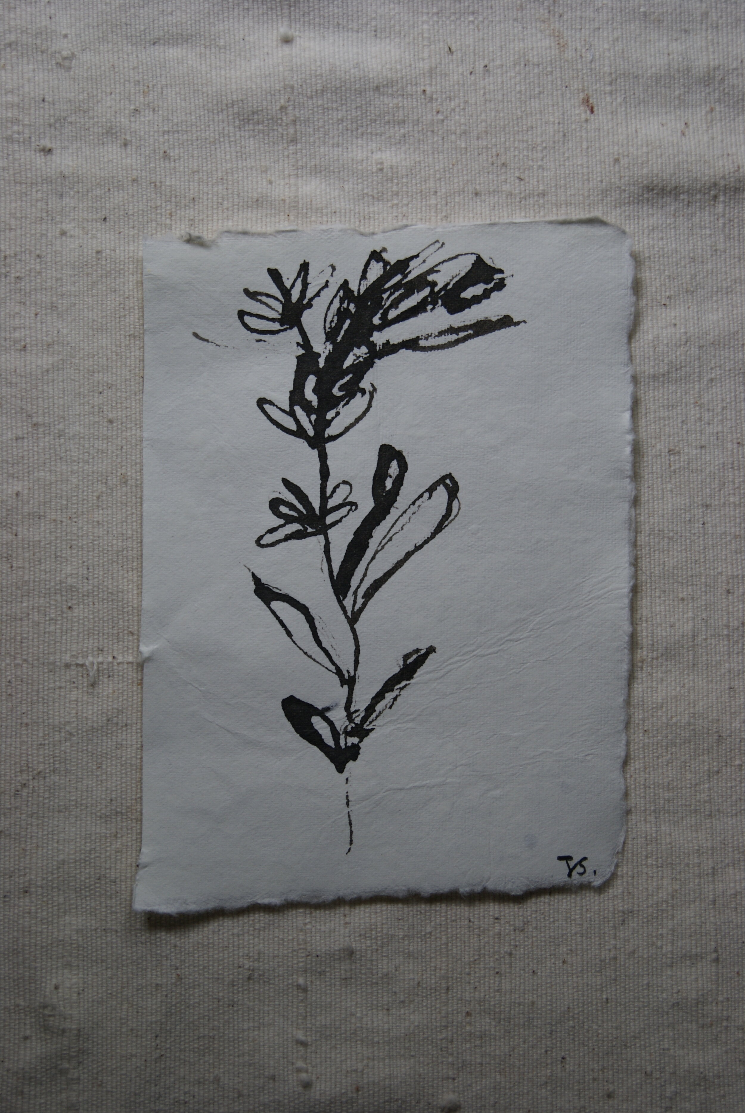 Inky Botanical 4 (SOLD)
