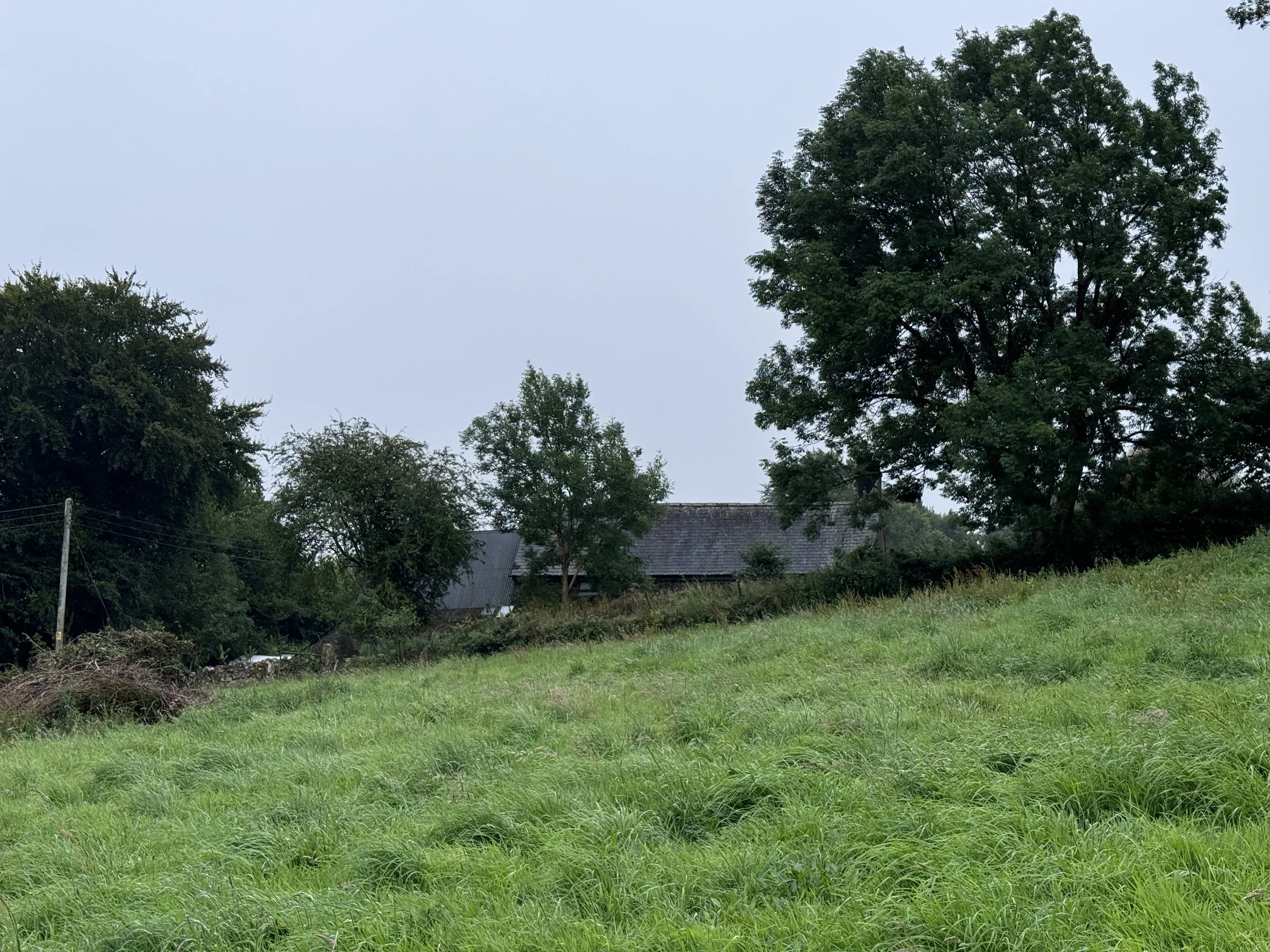 devon