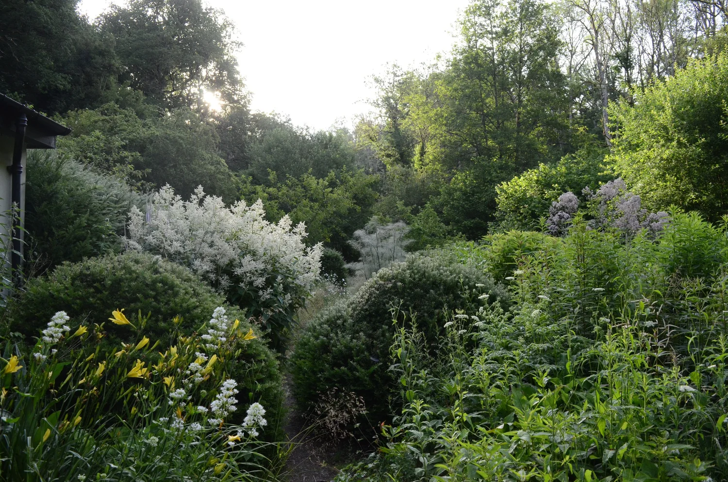 Rich Landscapes - Landscape design