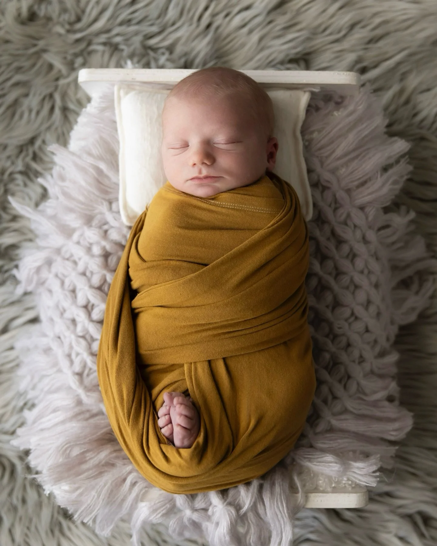 Baby Macklin gave me excellent expressions. Really hamming it up for the camera, showing ALL sides of that sweet personality!