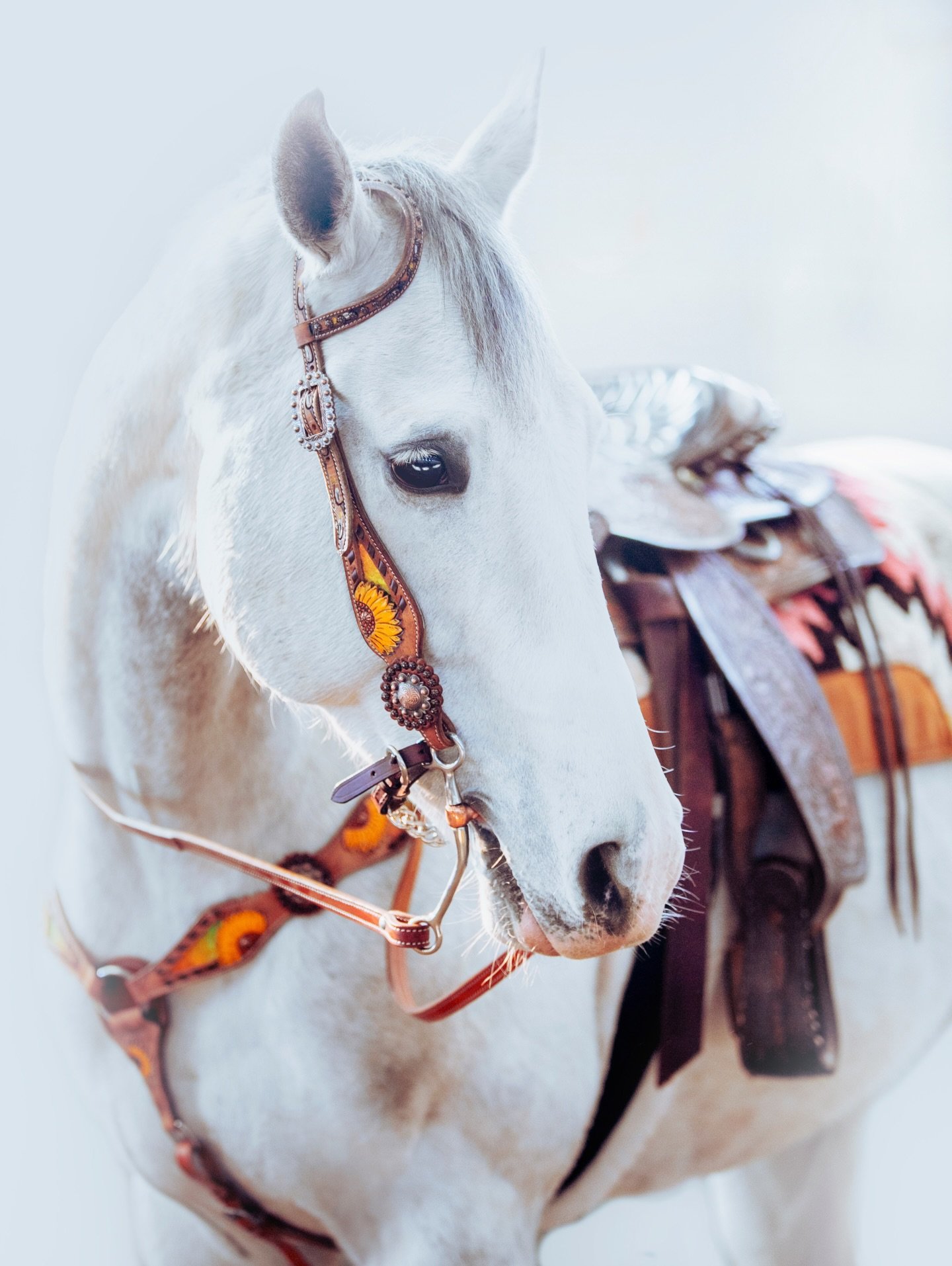 A very special Happy 13th birthday to Cherry. You have inspired me in ways I never thought possible. 🍒