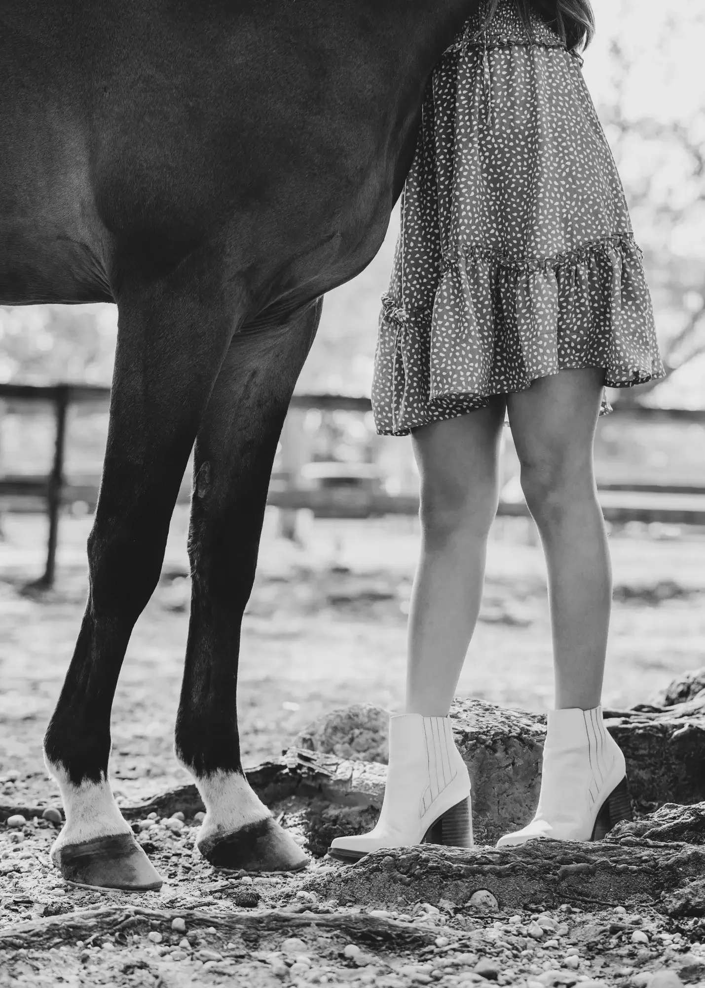 long-island-horse-photography-NLP_6282 copy.webp