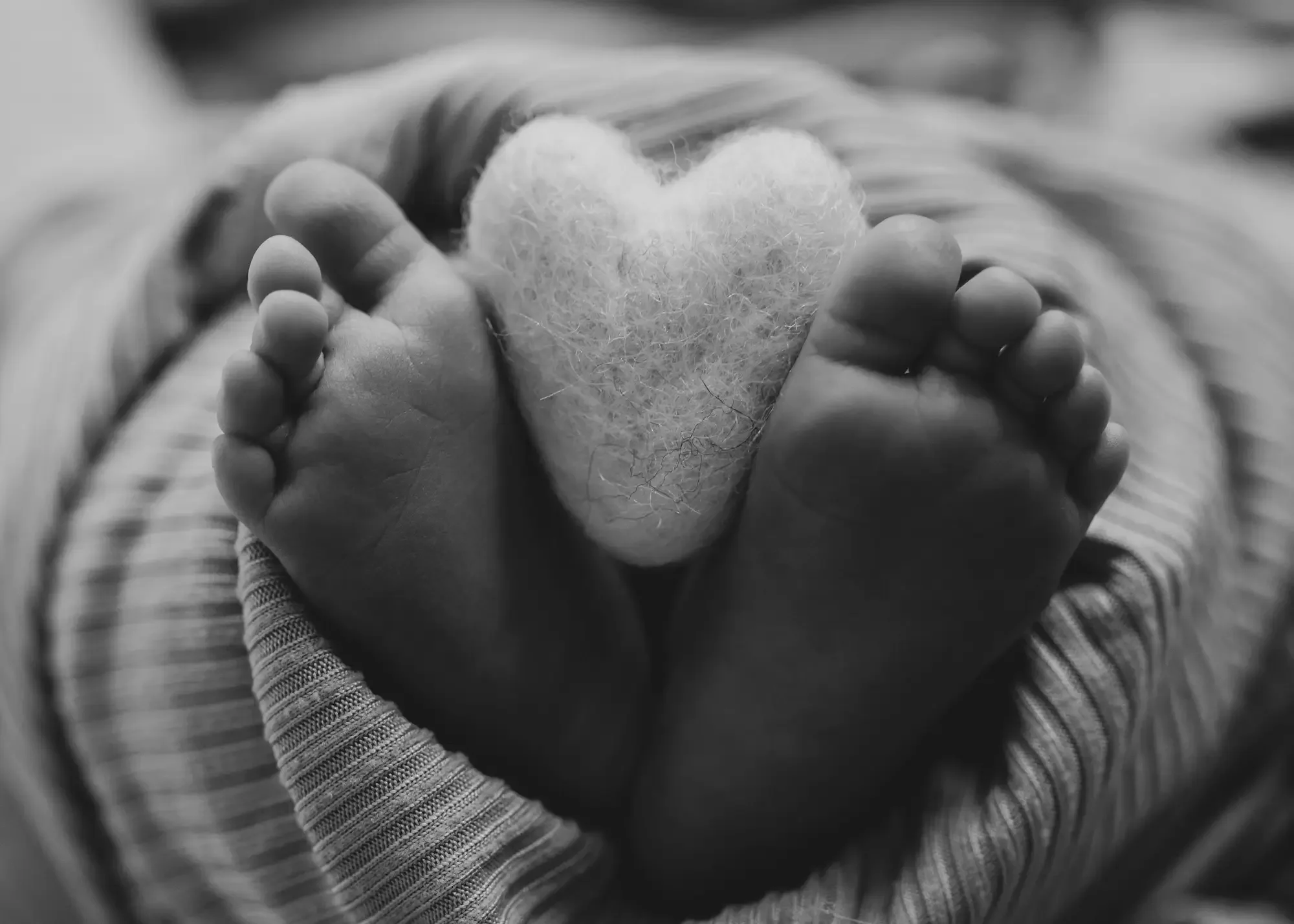 long-island-newborn-photography-NLP_4288 copy.webp