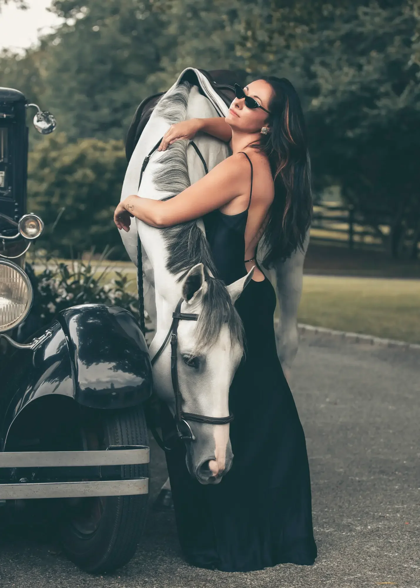 long-island-equine-photographer-NLP_2792 copy_1.webp