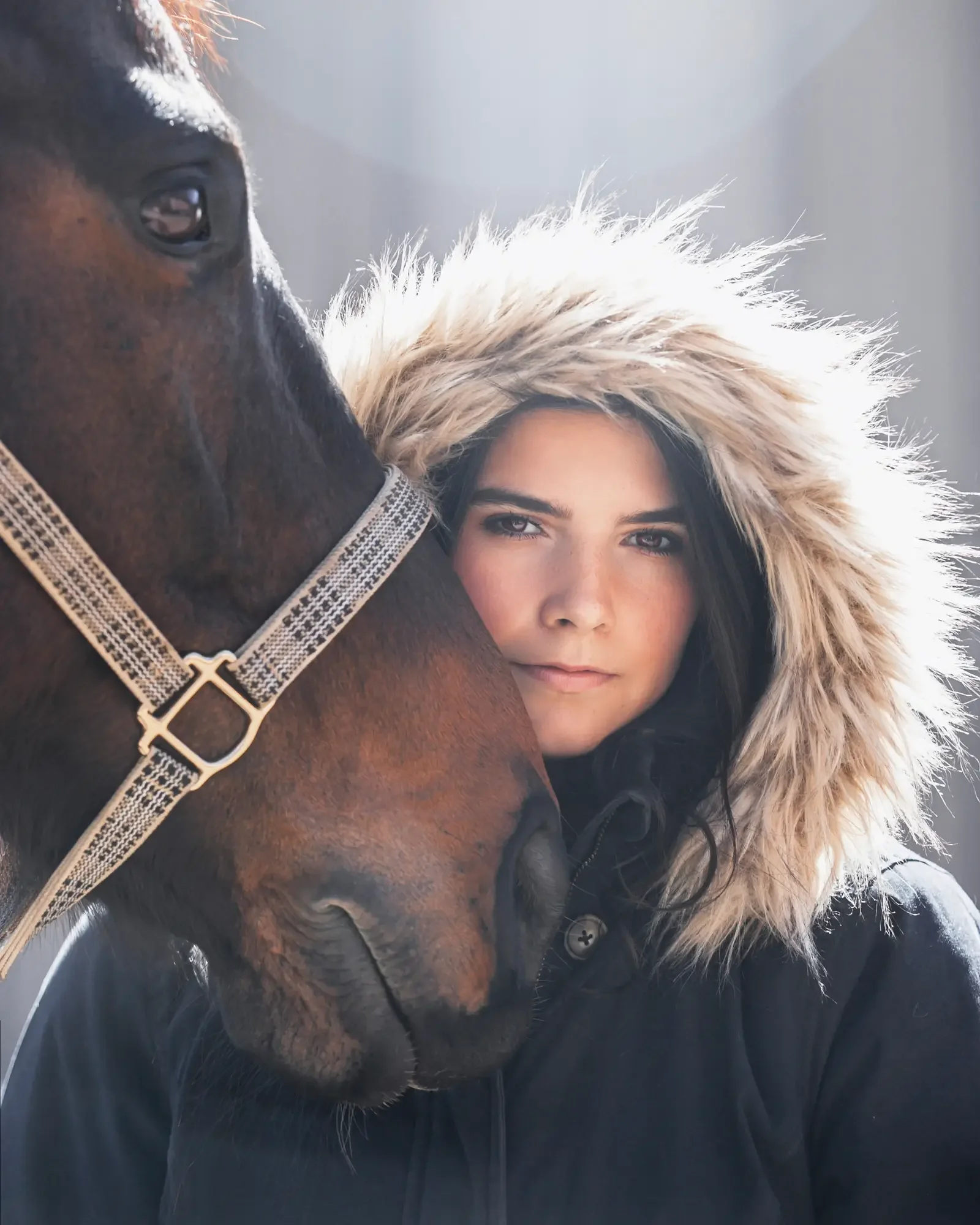 long-island-equine-photography-NRL_9478 copy.webp