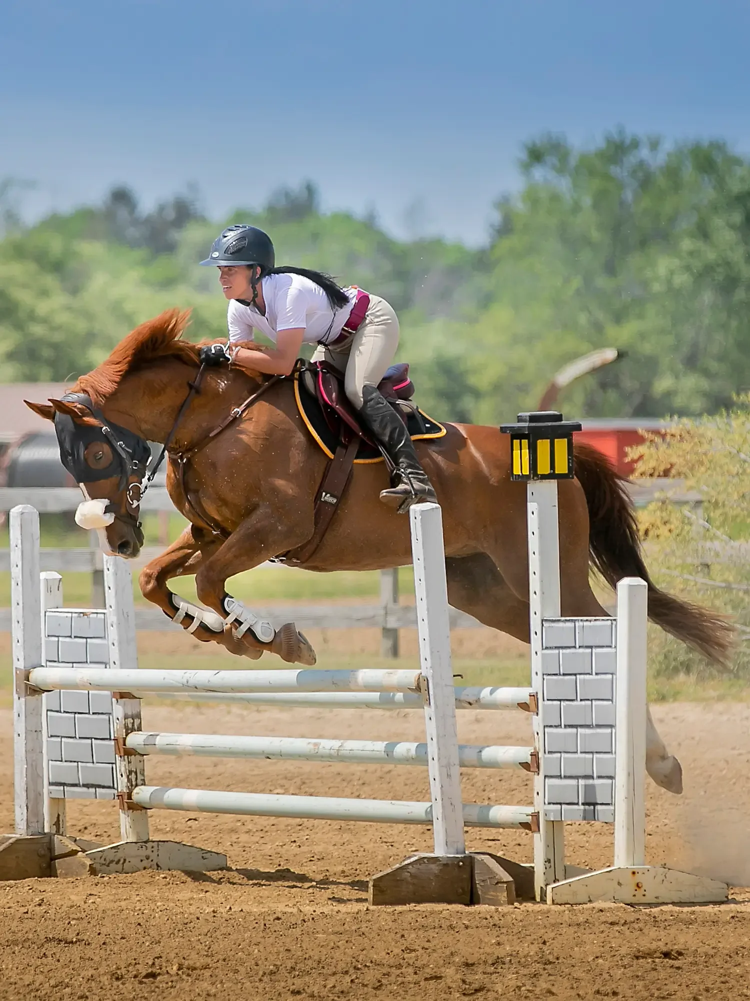 A woman riding a brown horse jumps over a fence during a show jumping competition on a dirt arena with green trees in the background.