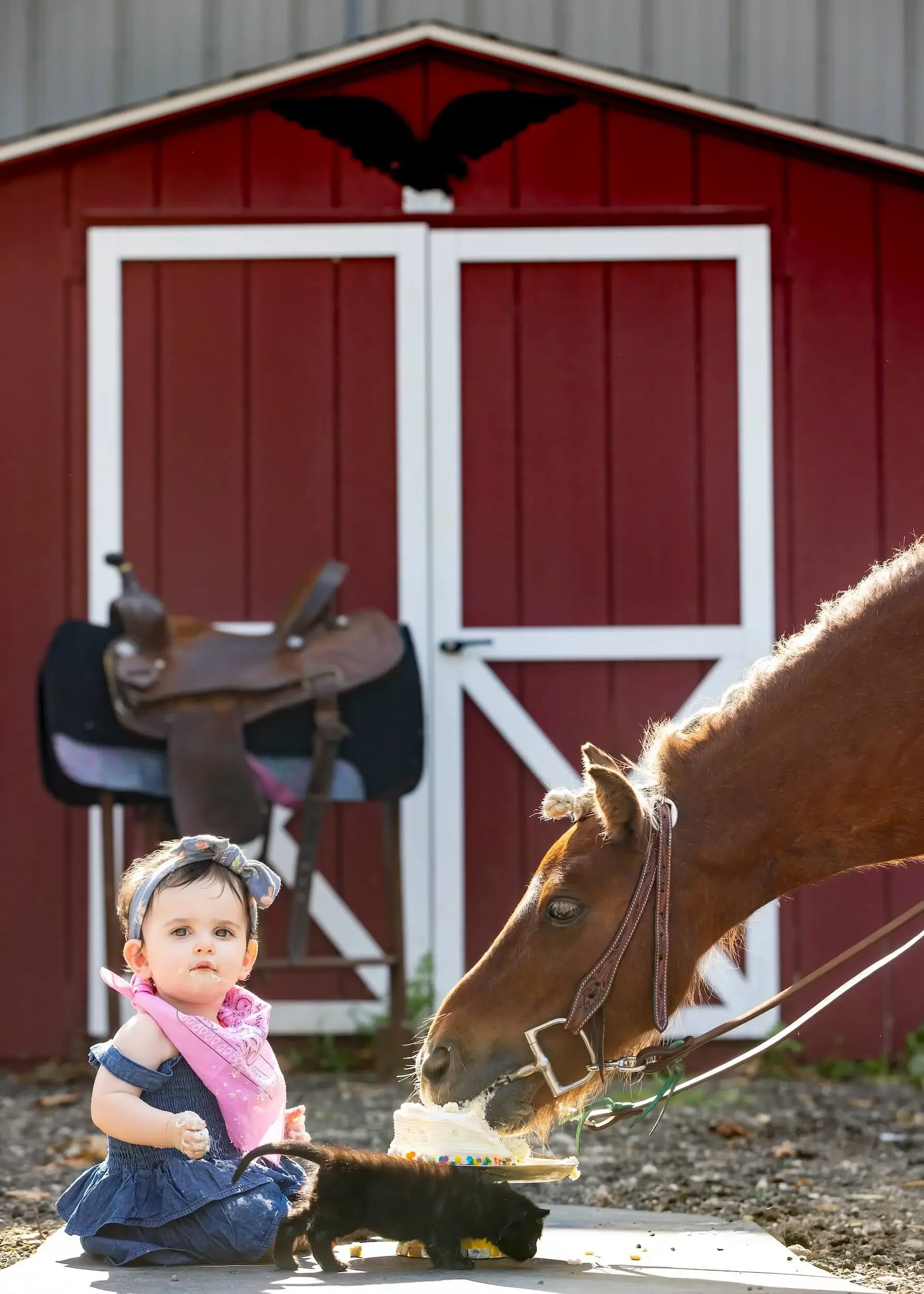 long-island-birthday-portrait-session-NLP_9584-copy 2.webp