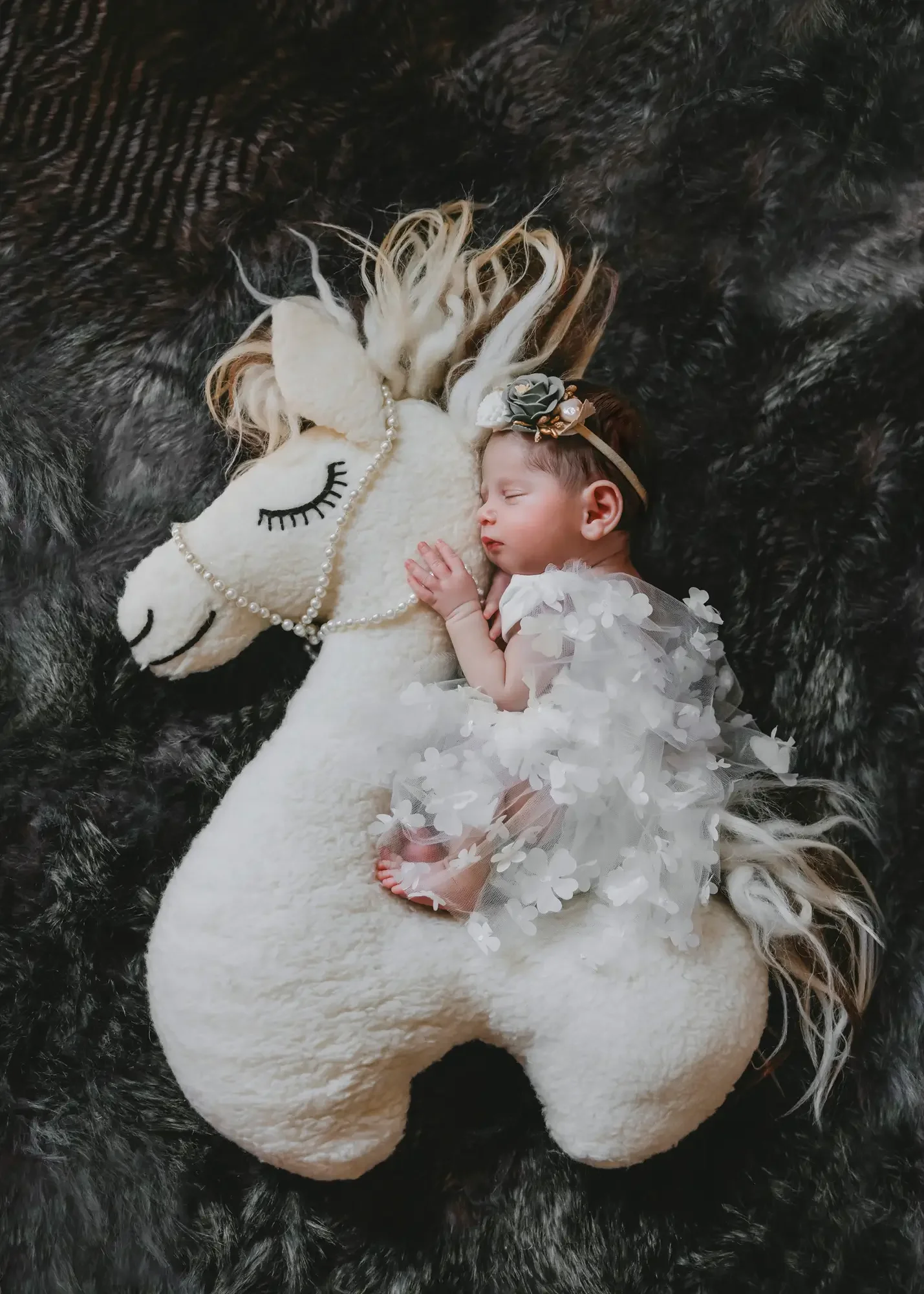 long-island-newborn-photography-NLP_4617 copy 2.webp