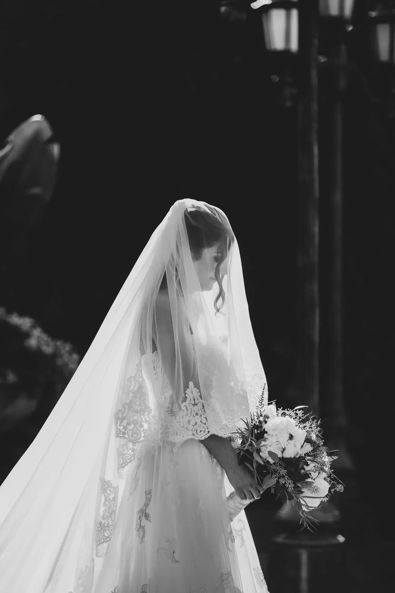 Weddings & Engagements