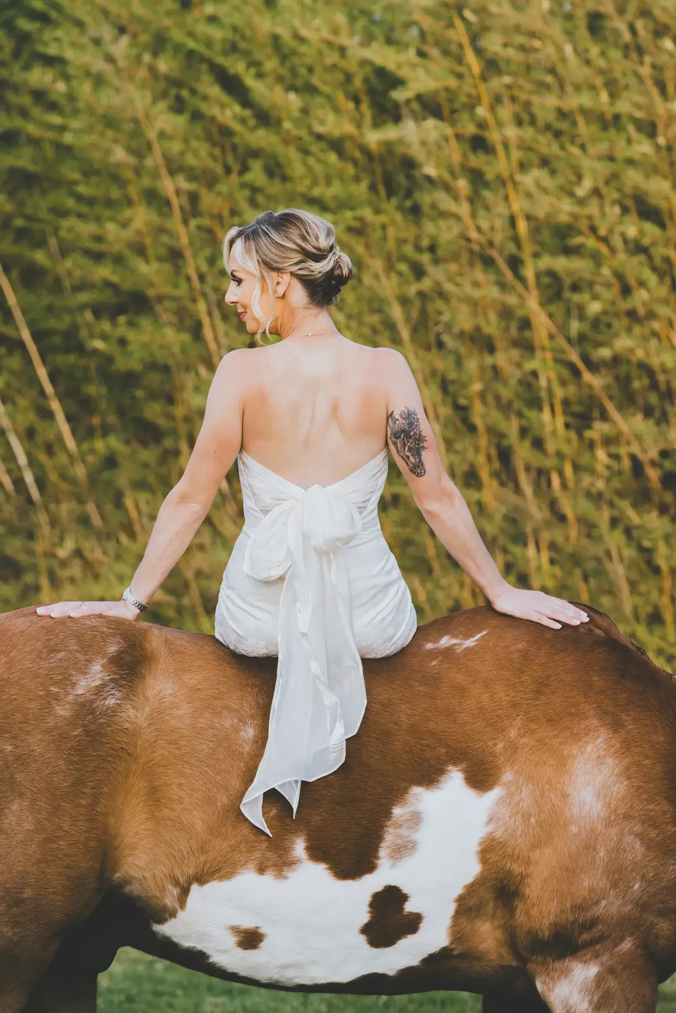 A woman wearing a white strapless dress sitting backwards on a brown and white cow in a green outdoor setting.