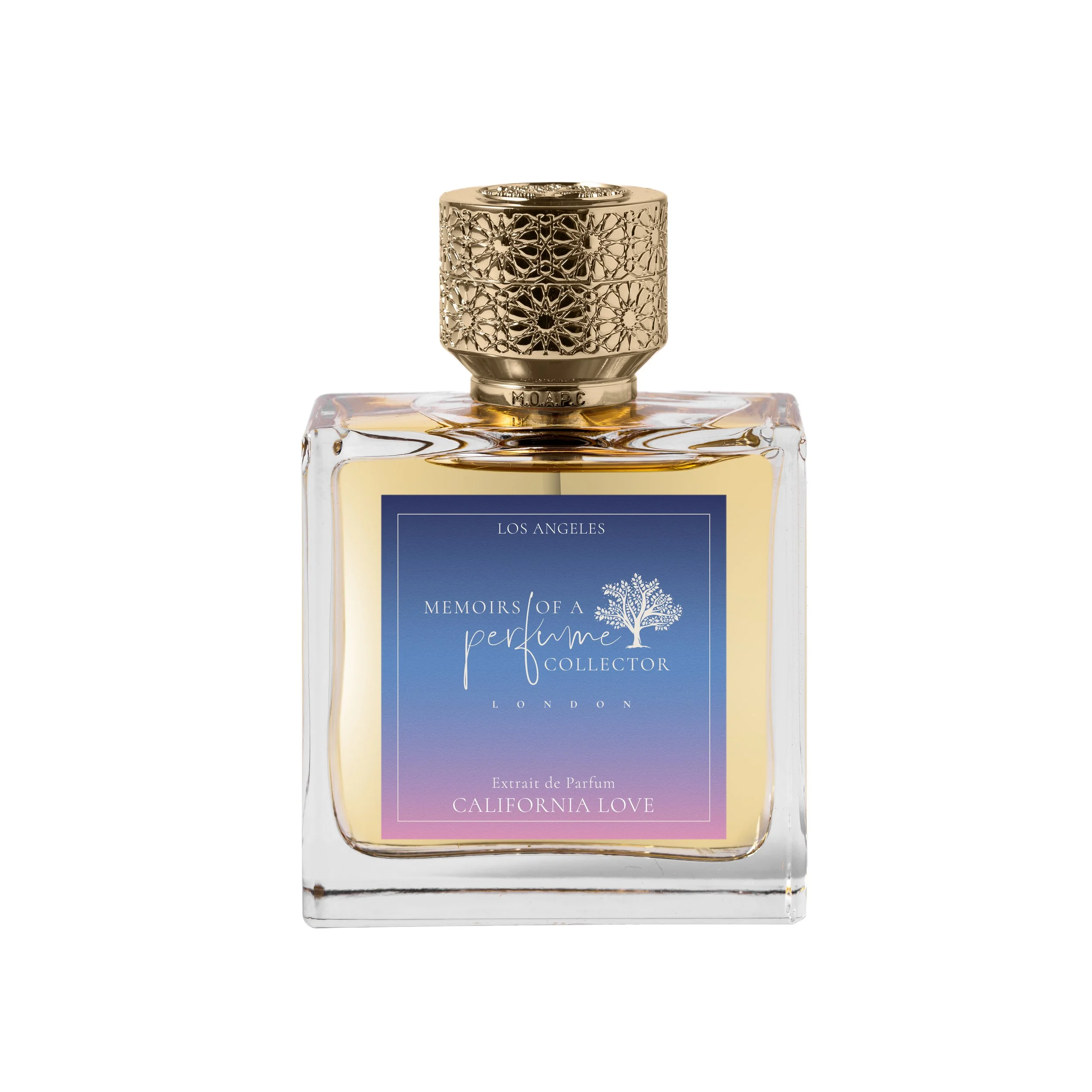 MEMO6147-MemoirsofaPerfumeCollector-01.jpg