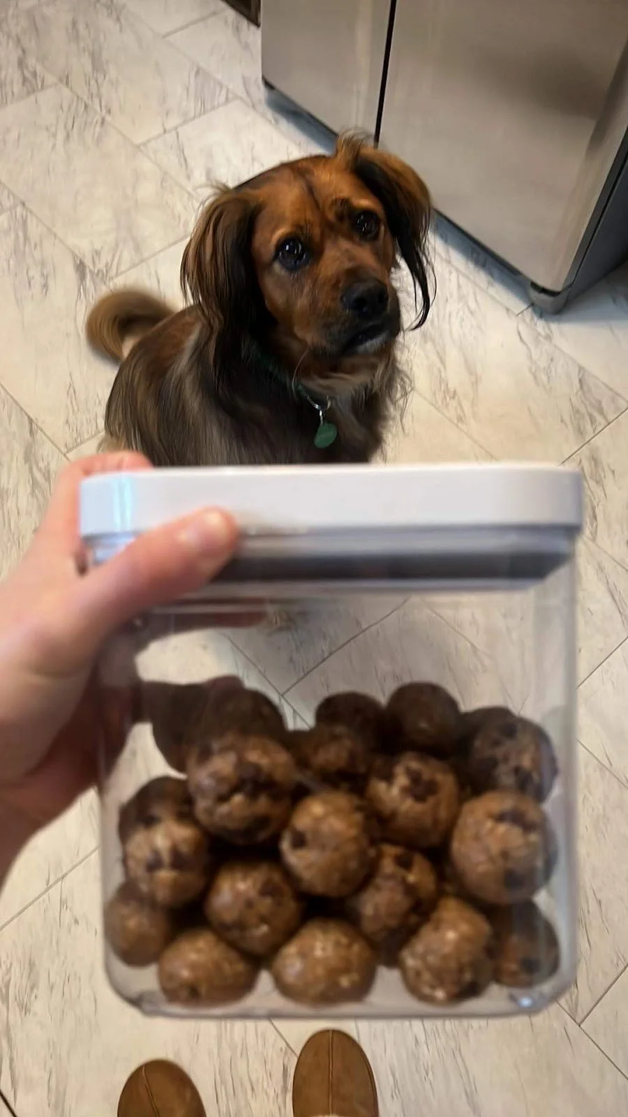 No Bake Protien Bites 