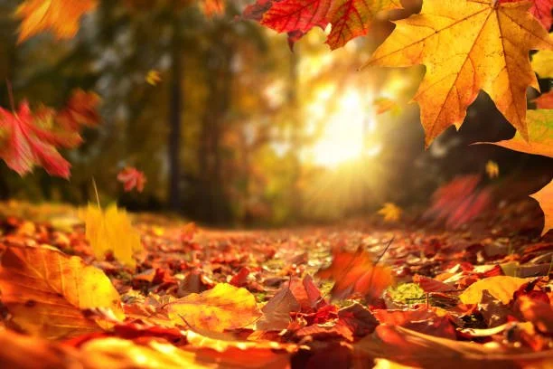 Revitalize Your Fitness Routine: 5 Tips for Staying Active from Fall to Summer