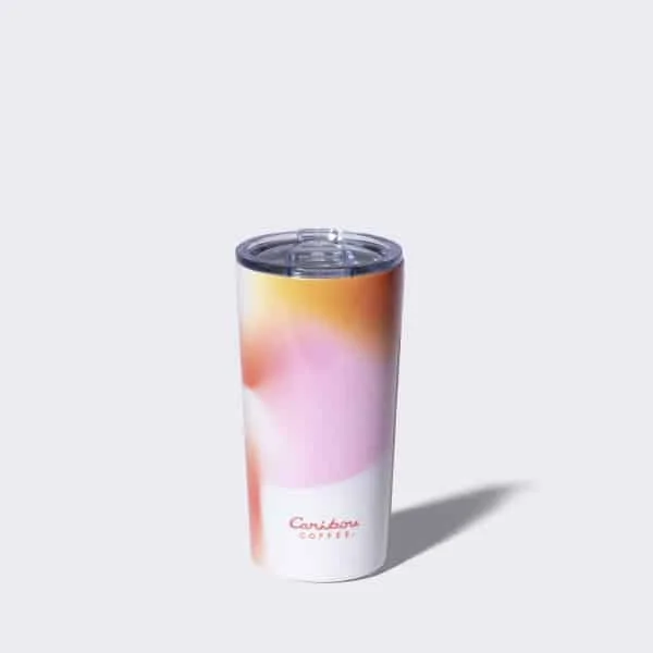 2023_PW3_16oz_Stainless_Sunrise_600x600.jpeg