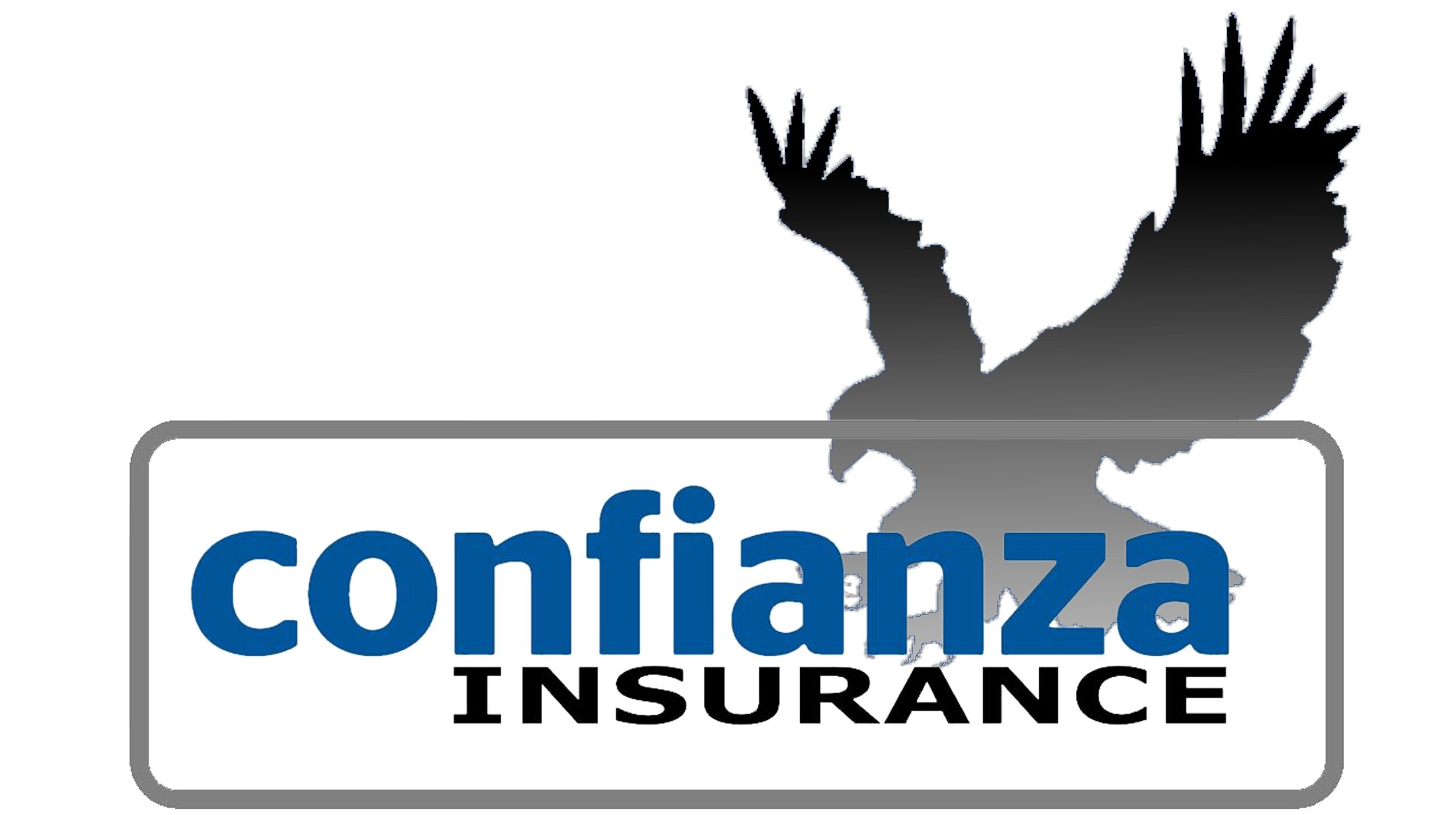Confianza Insurance Logo bar.jpg