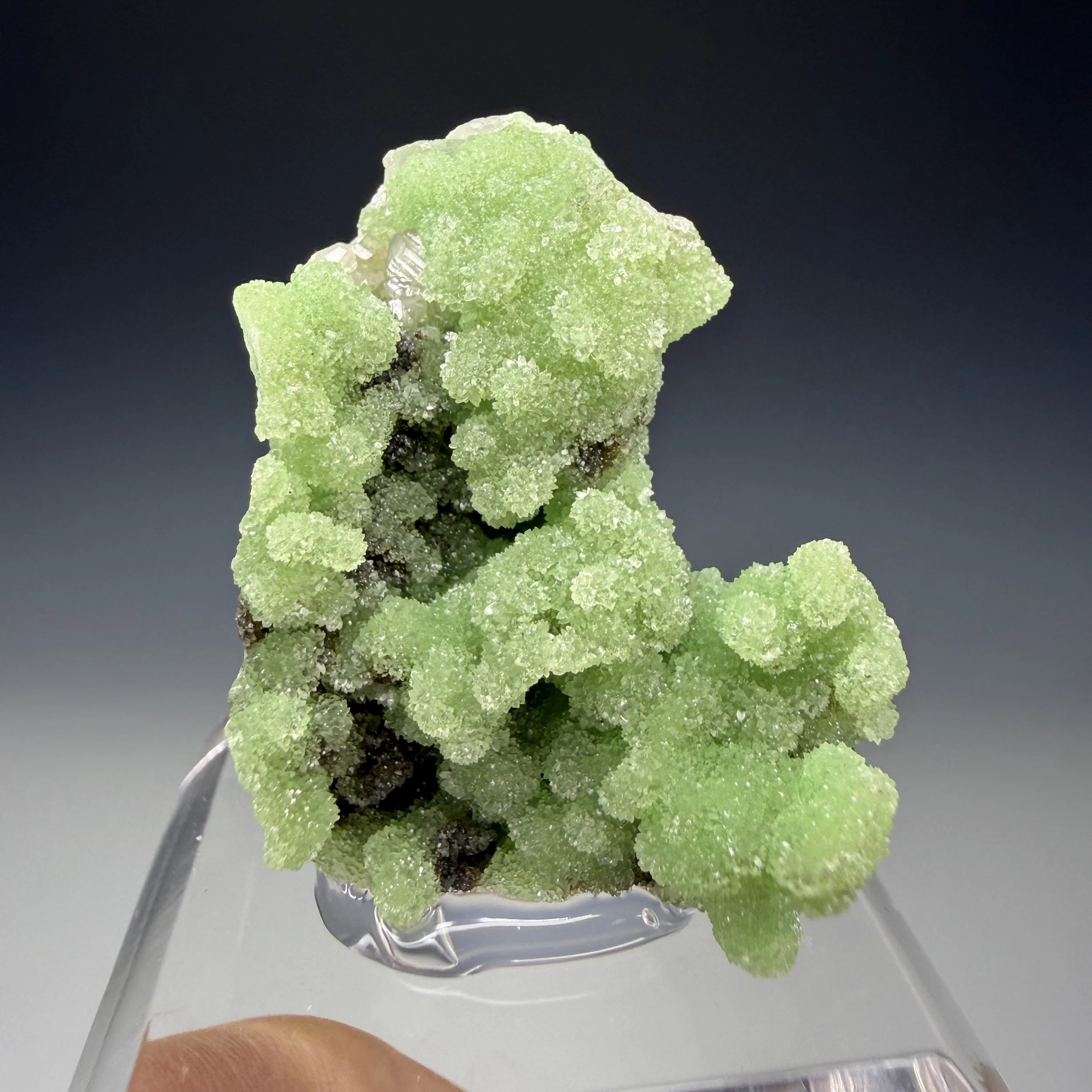 Cuprian Smithsonite, Tsumeb Mine, Oshikoto Region, Namibia