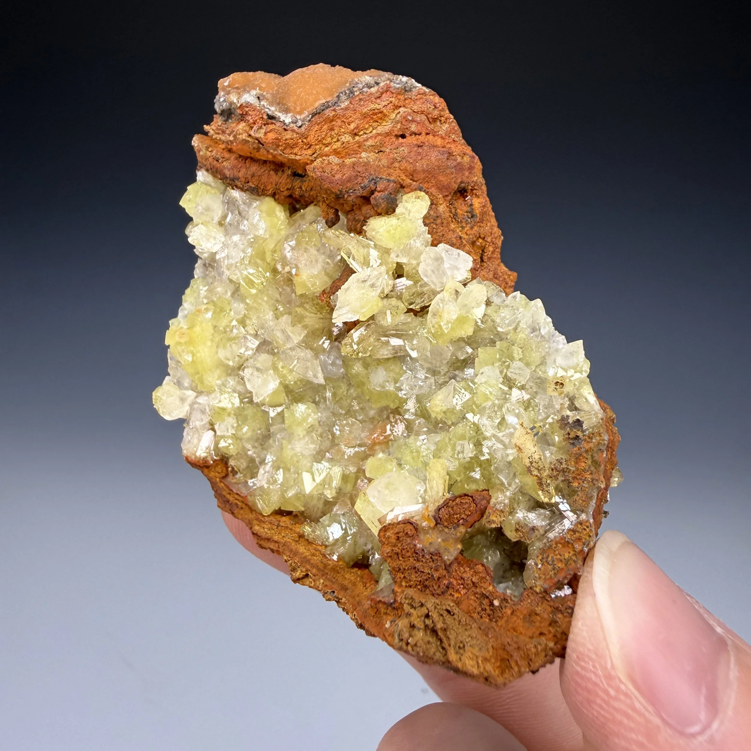 IMG_1360.JPG