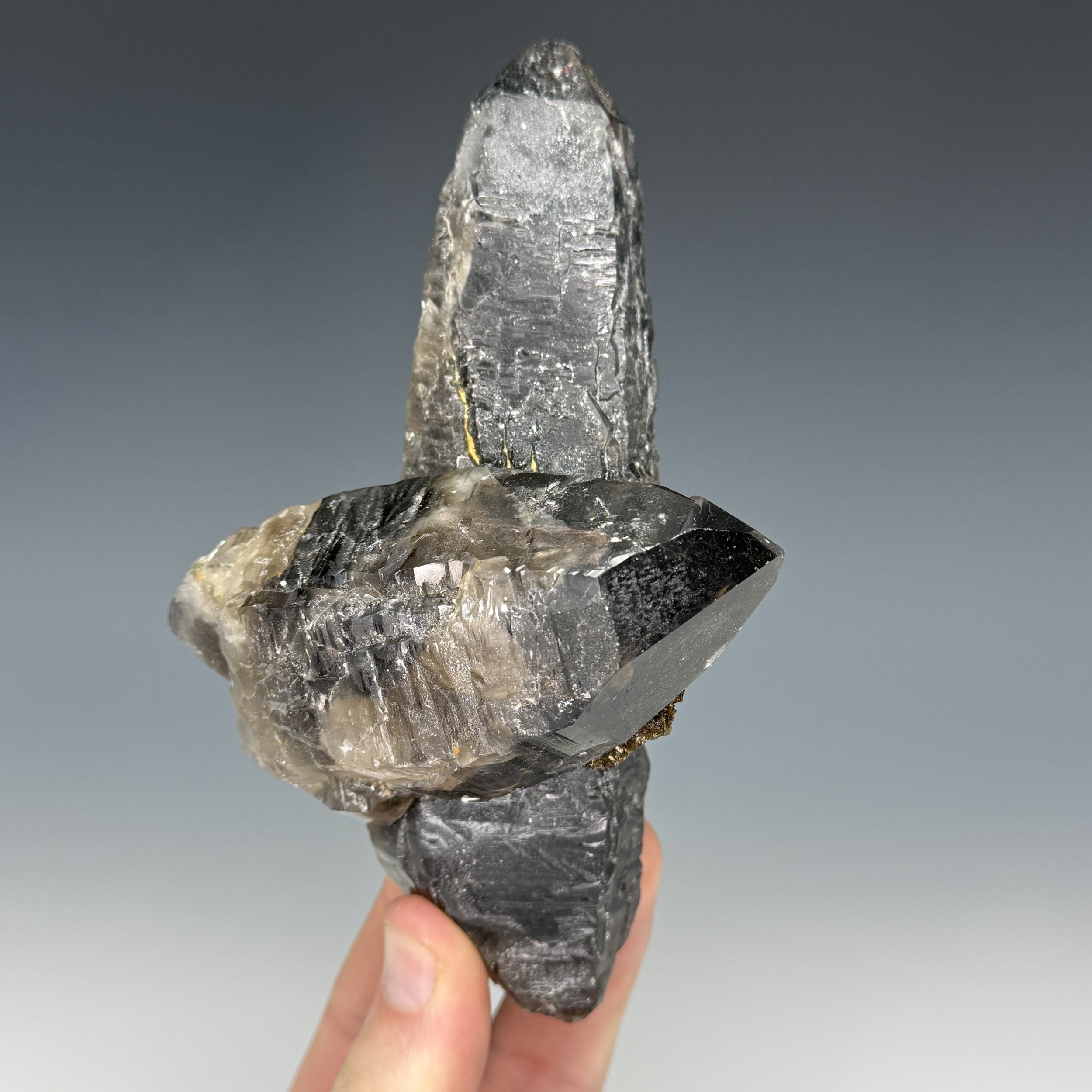 Smoky Quartz, Crystal Peak, Teller County, Colorado, USA