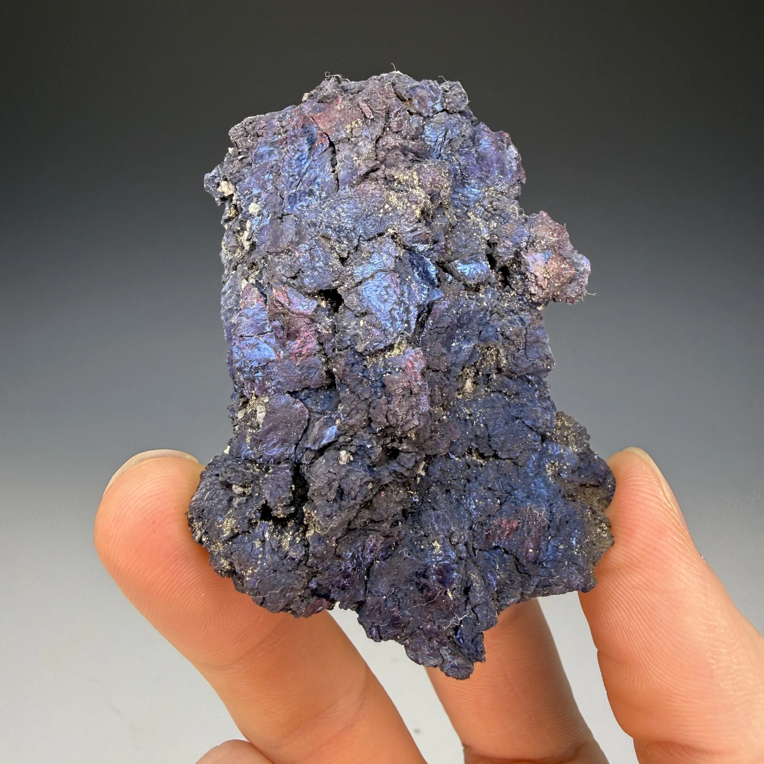 Covellite, 2400' Level, High Ore Mine, Butte, Silver Bow County, Montana, USA