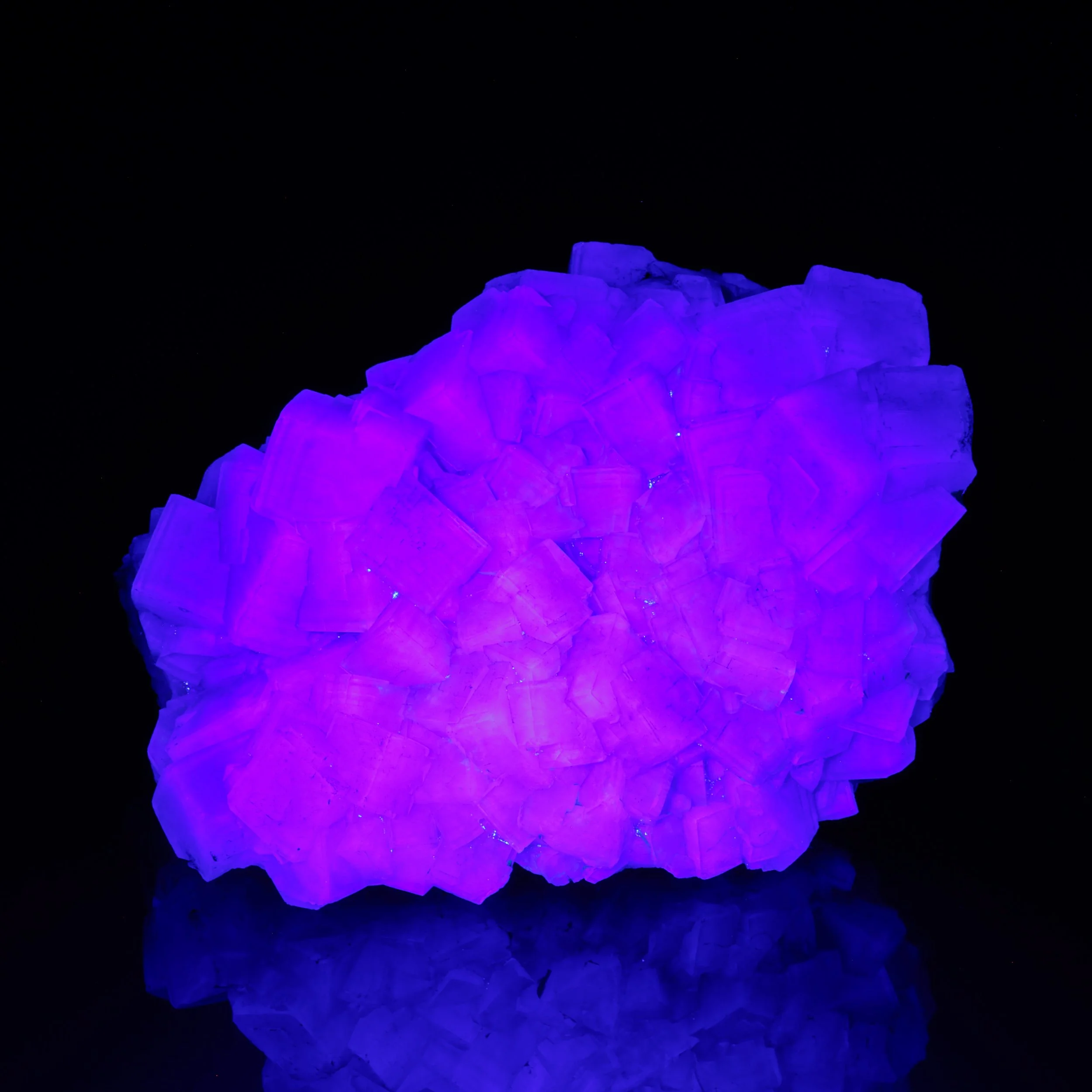 DanZellnerMineralPhotos6.18-4118.jpg