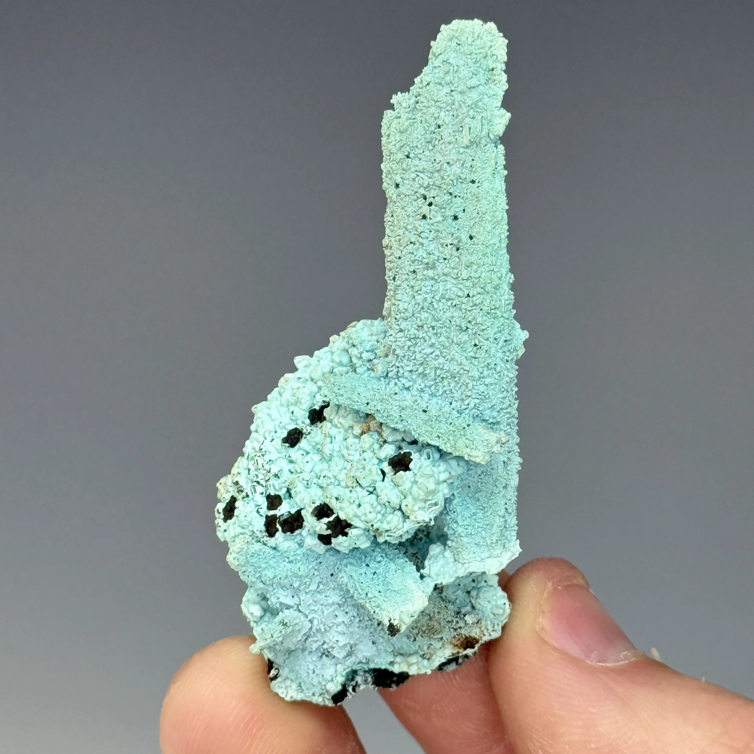 Chrysocolla, Pseudomorph Gypsum, Lupoto Mine, Kakumba, Kipushi Territory, Haut-Katanga, DRC
