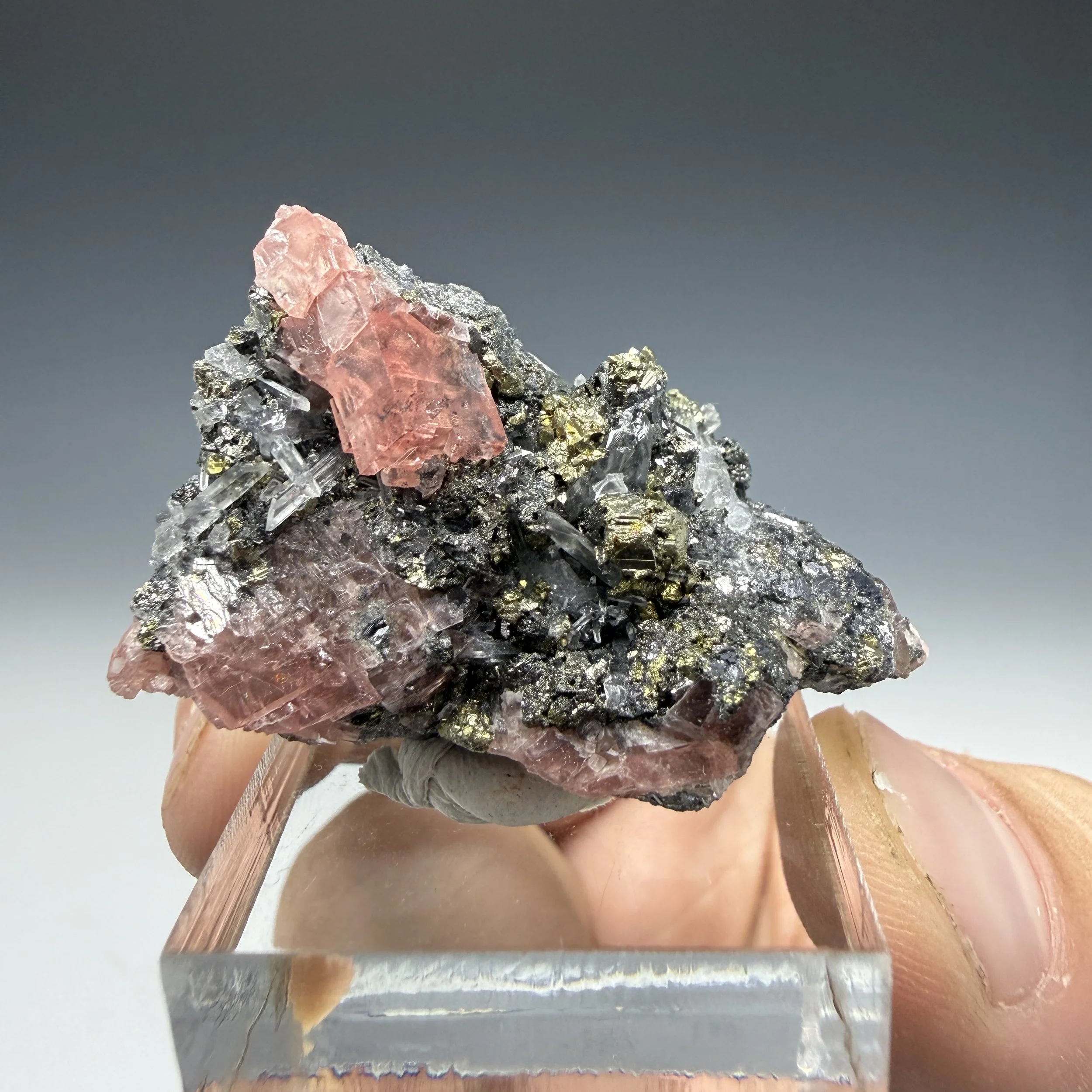 Rhodochrosite, Pyrite, Quartz, Sweet Home Mine, Alma Mining Dist., Park Co., Colorado, USA