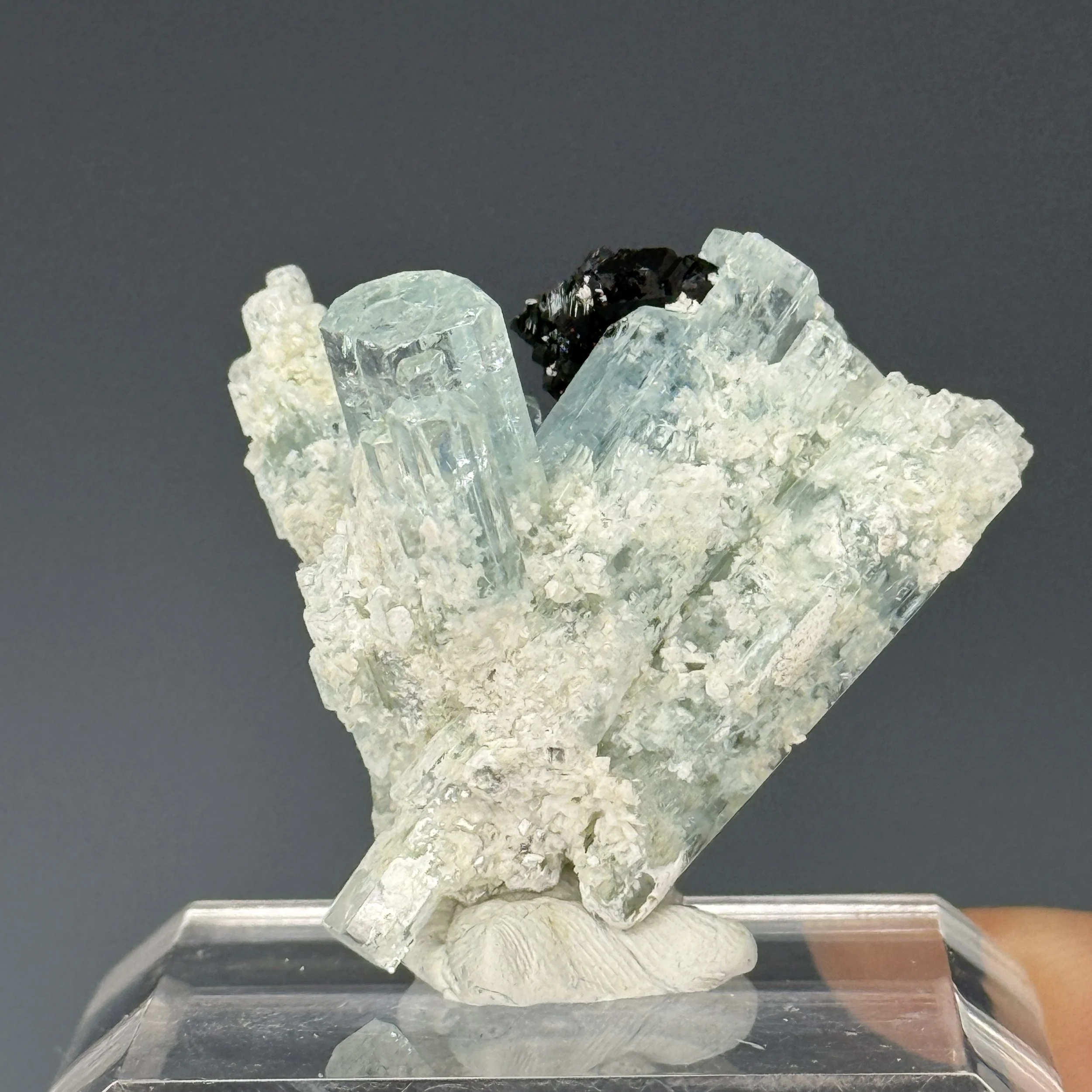 Aquamarine, Schorl, Erongo Mountains, Karibib District, Erongo Region, Namibia