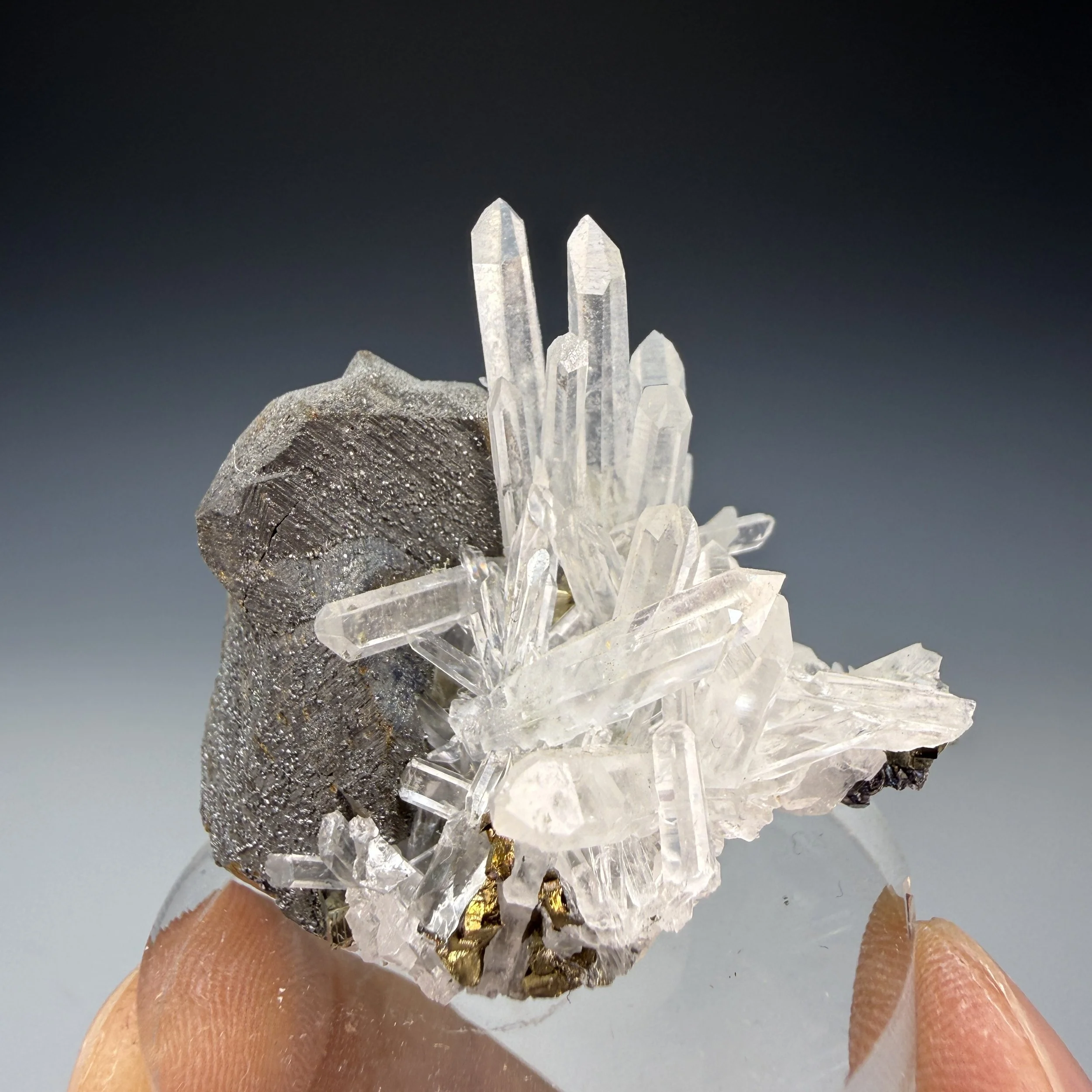 Chalcopyrite, Quartz, Pyrite, Sphalerite, Huaron Mine, Huaron Mining Dist., Huayllay Dist., Pasco Prov., Pasco, Peru