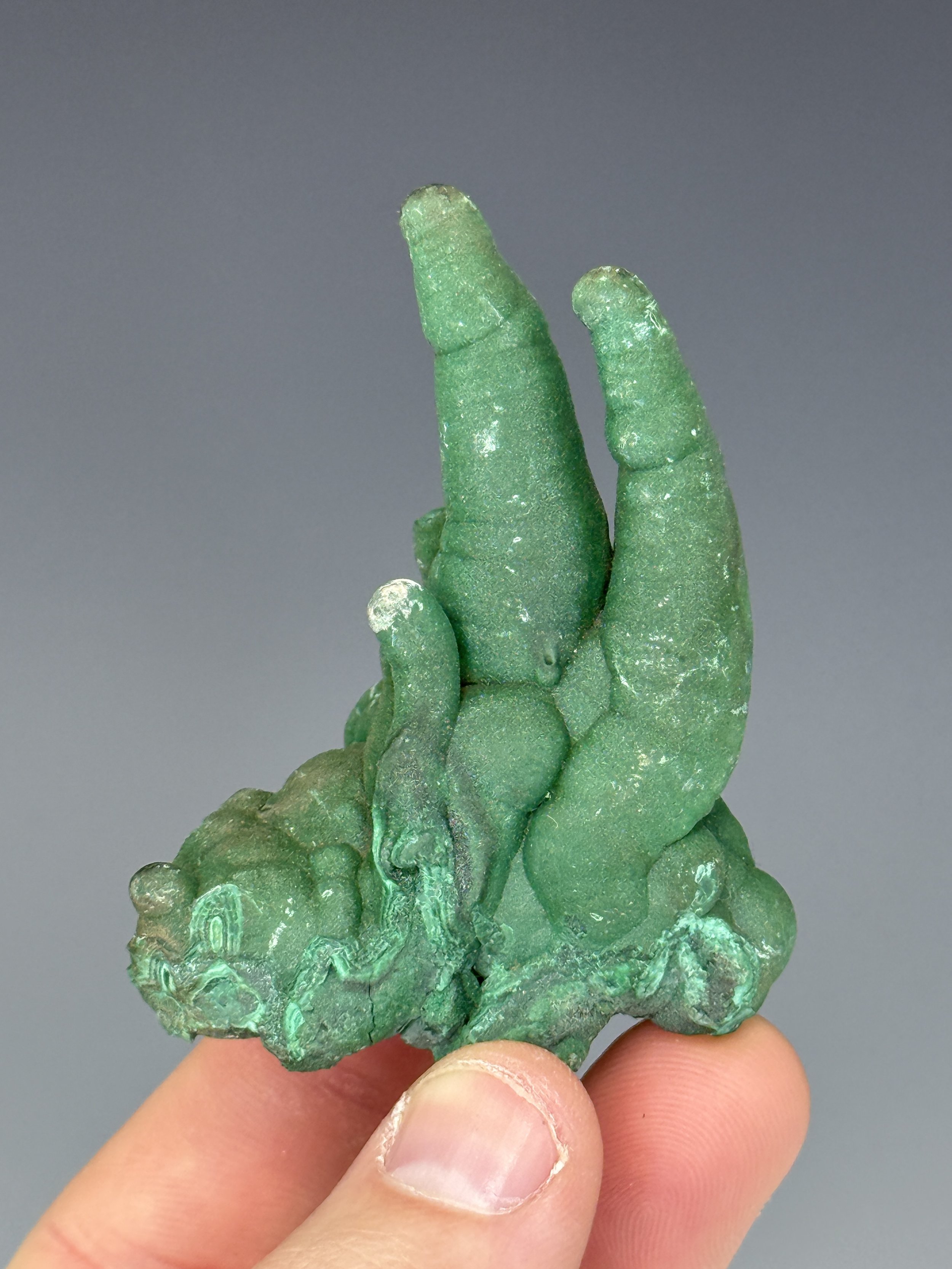 Malachite Stalactite, Star of the Congo Mine, Lubumbashi, Southern area, Shaba Copper belt, Shaba, Congo