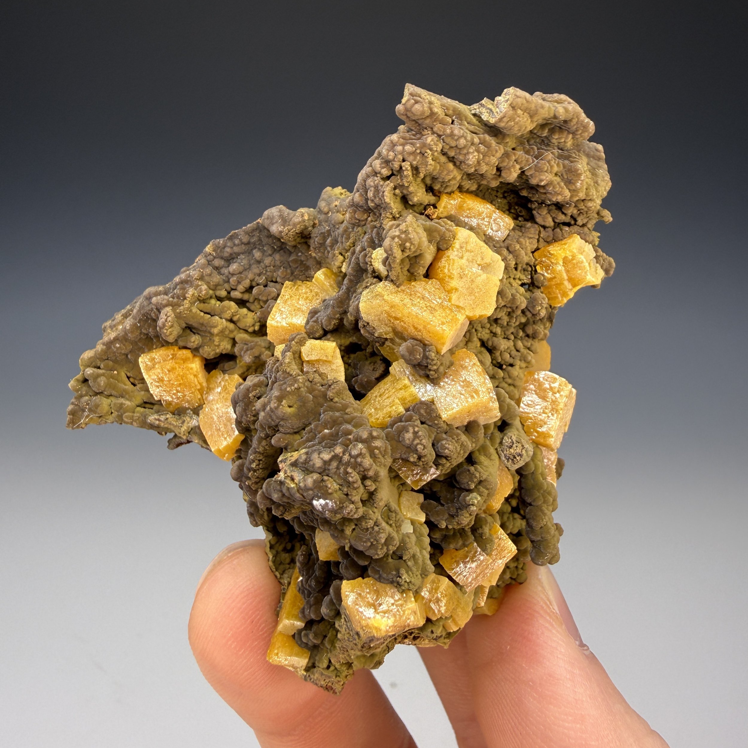 Wulfenite, Mottramite, 7 Lvl. America Poniente, Ojuela, Mapimi, Mapimi Municipality, Durango, Mexico