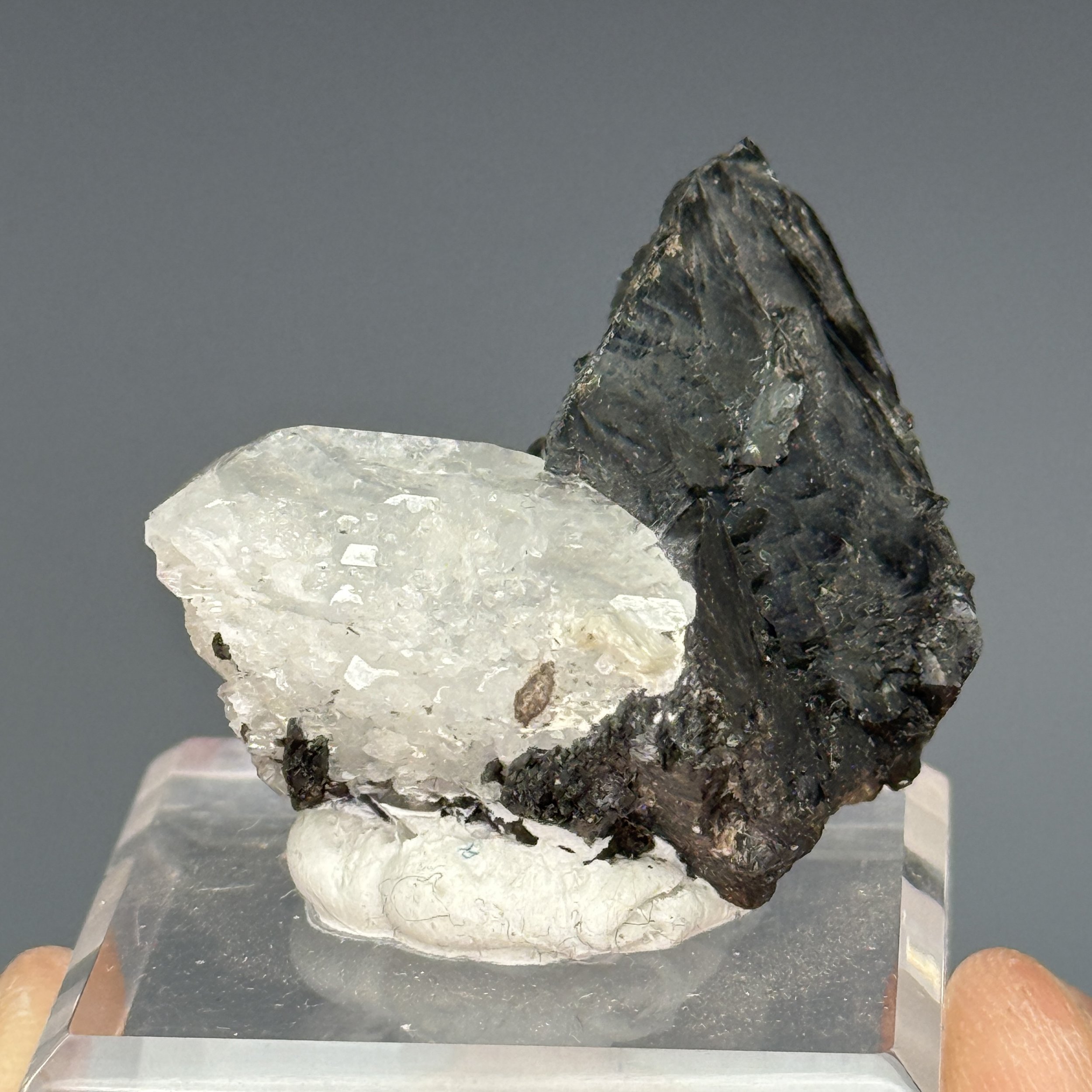 Cassiterite, Aquamarine, Muscovite, Pingwu Beryl Mine, Mt. Xuebaoding, Pingwu Co., Sichuan, China