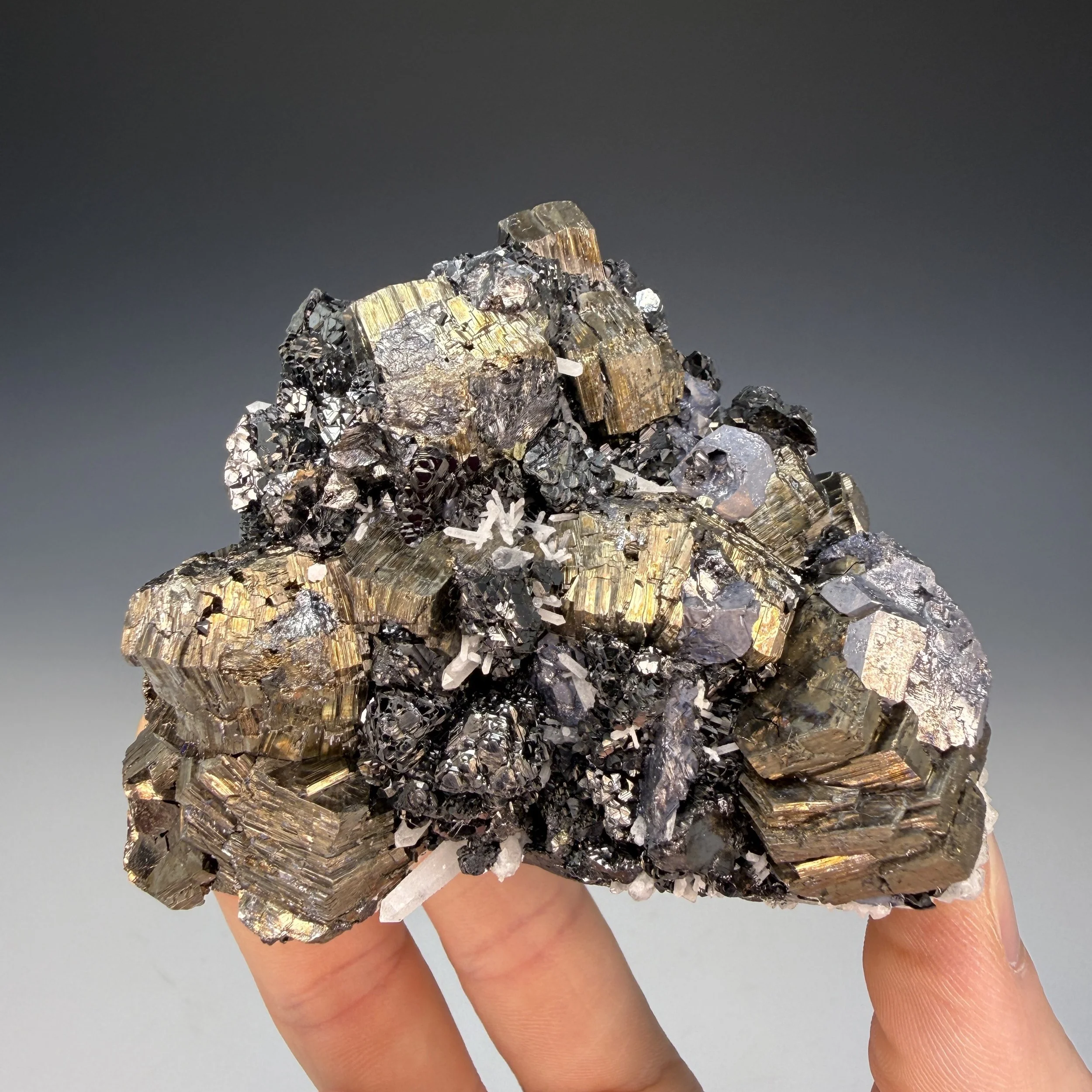 Pyrrhotite, Galena, Quartz, Nikolaevskiy Mine, Dalnegorsk, Primorsky Krai, Russia