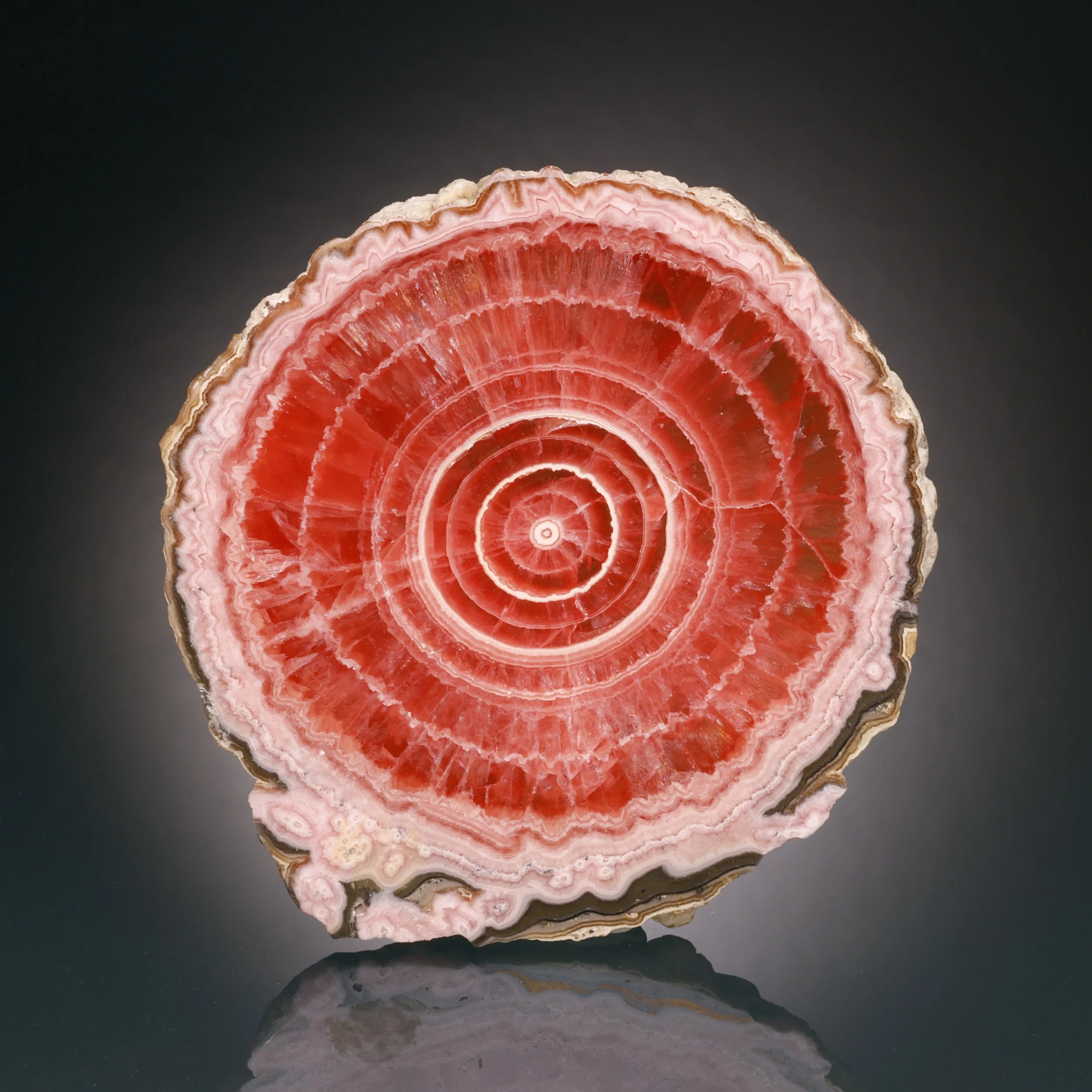 Rhodochrosite, Polished, Capillitas mining district, Andalgala Department, Catamarca Province, Argentina