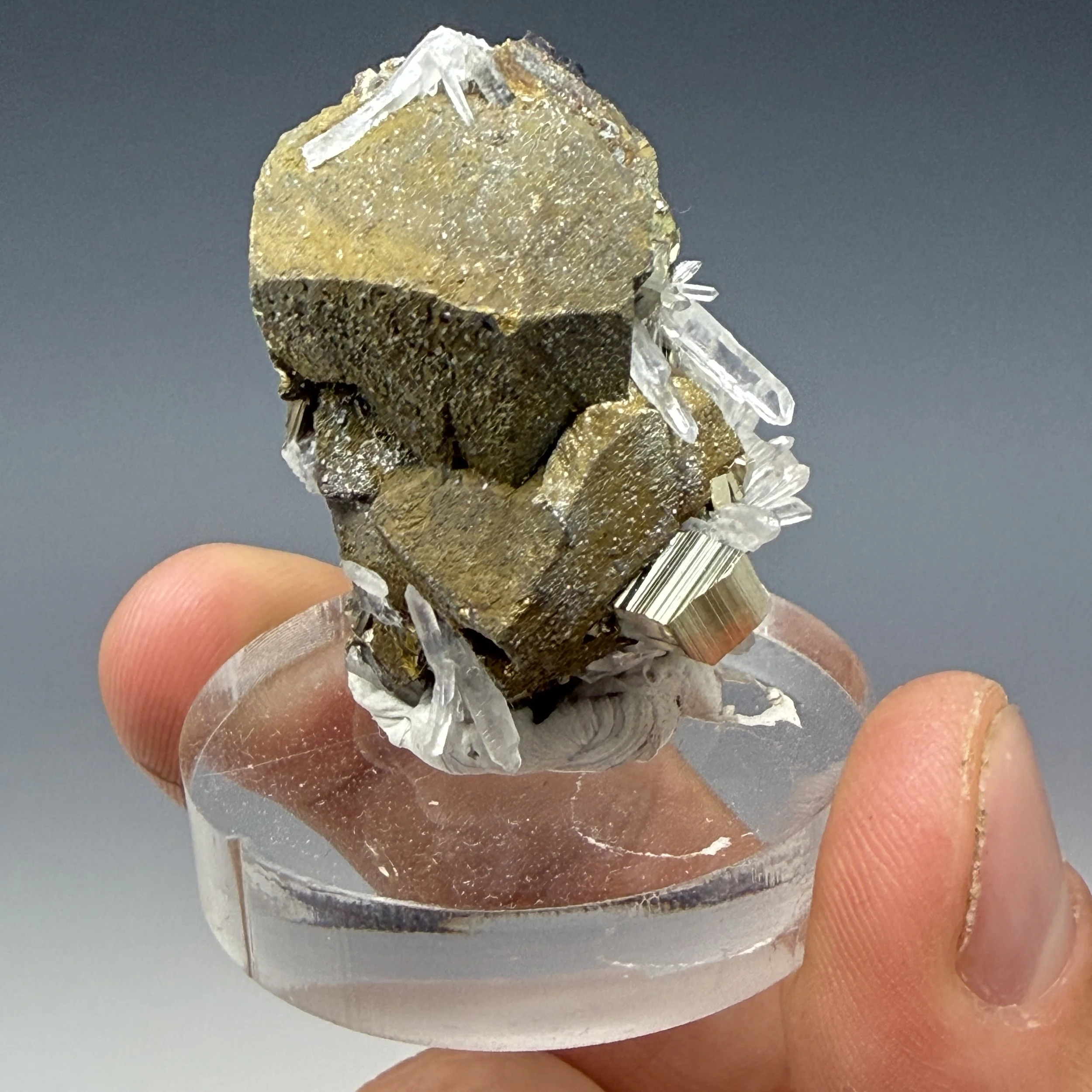 Chalcopyrite, Pyrite, Quartz, Huaron Mine, Huaron Mining Dist., Huayllay Dist., Pasco Prov., Pasco, Peru
