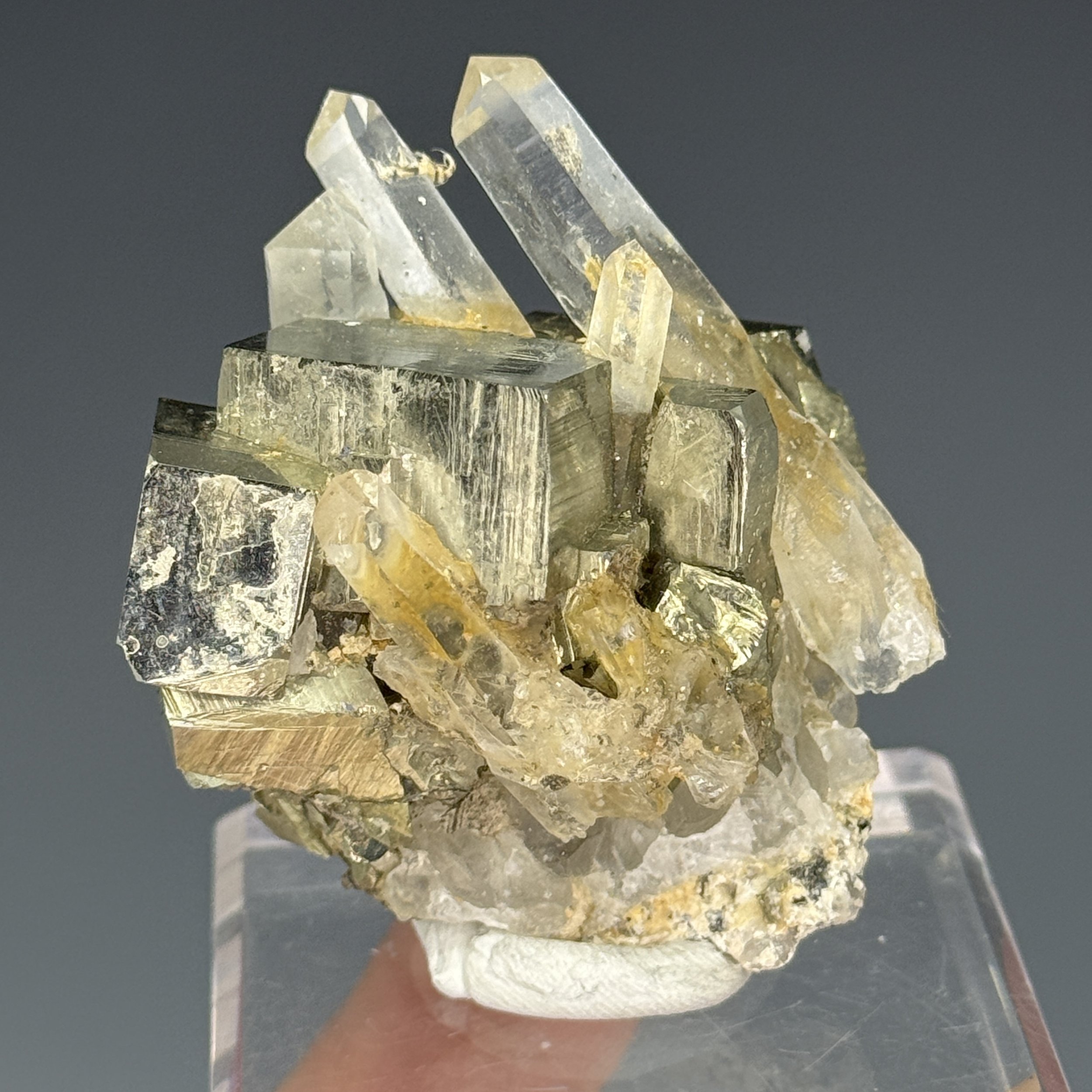 Quartz, Pyrite, Spruce Ridge, Snoqualmie Dist., King Co., Washington, USA