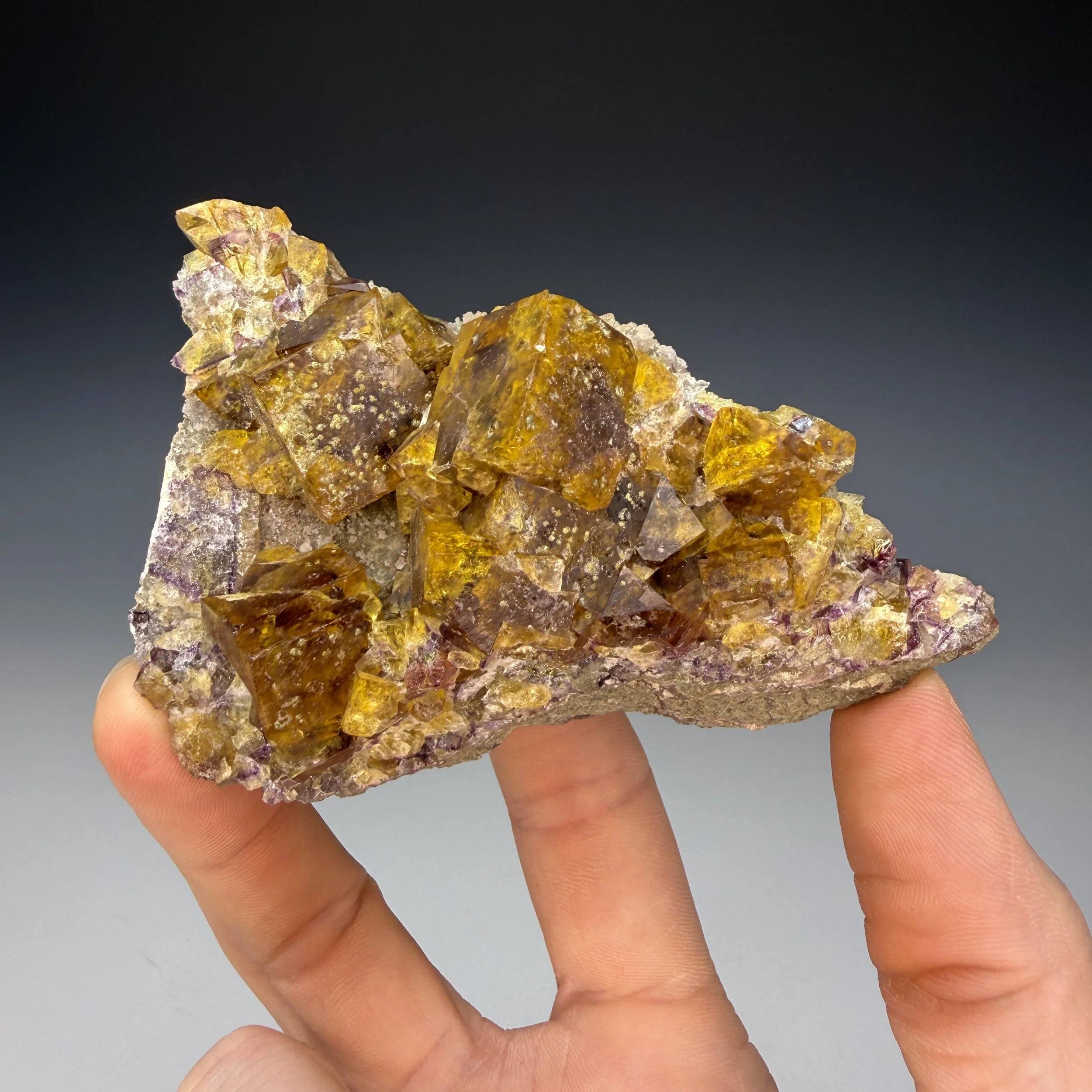Fluorite, Bergmannisch Gluck Mine, Frohnau,Erzgebirgskreis, Saxony, Germany