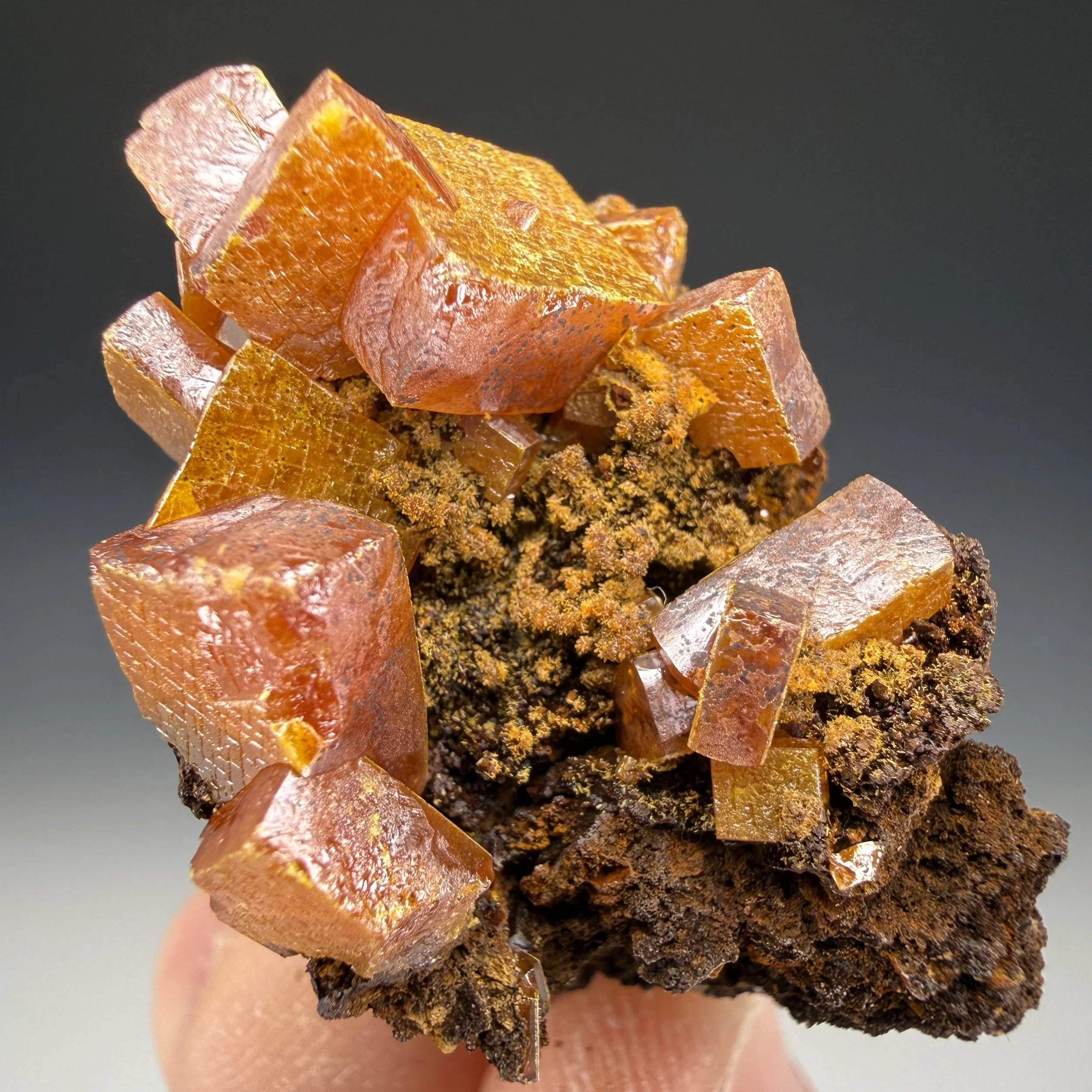 Wulfenite, Erupcion Mine, Los Lamentos Mts, Ahumada, Chihuahua, Mexico