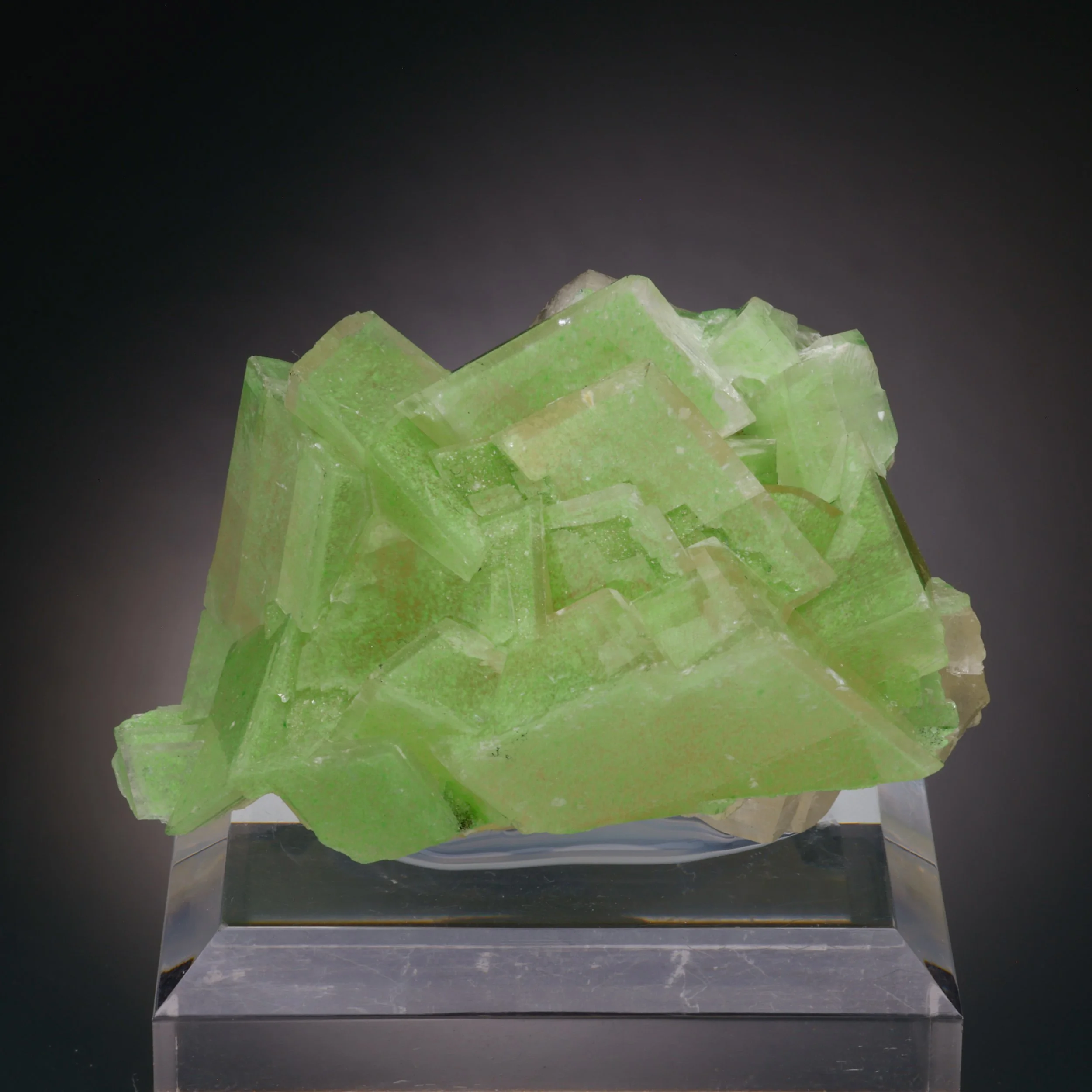 DanZellnerMineralPhotos6.18-4111.jpg