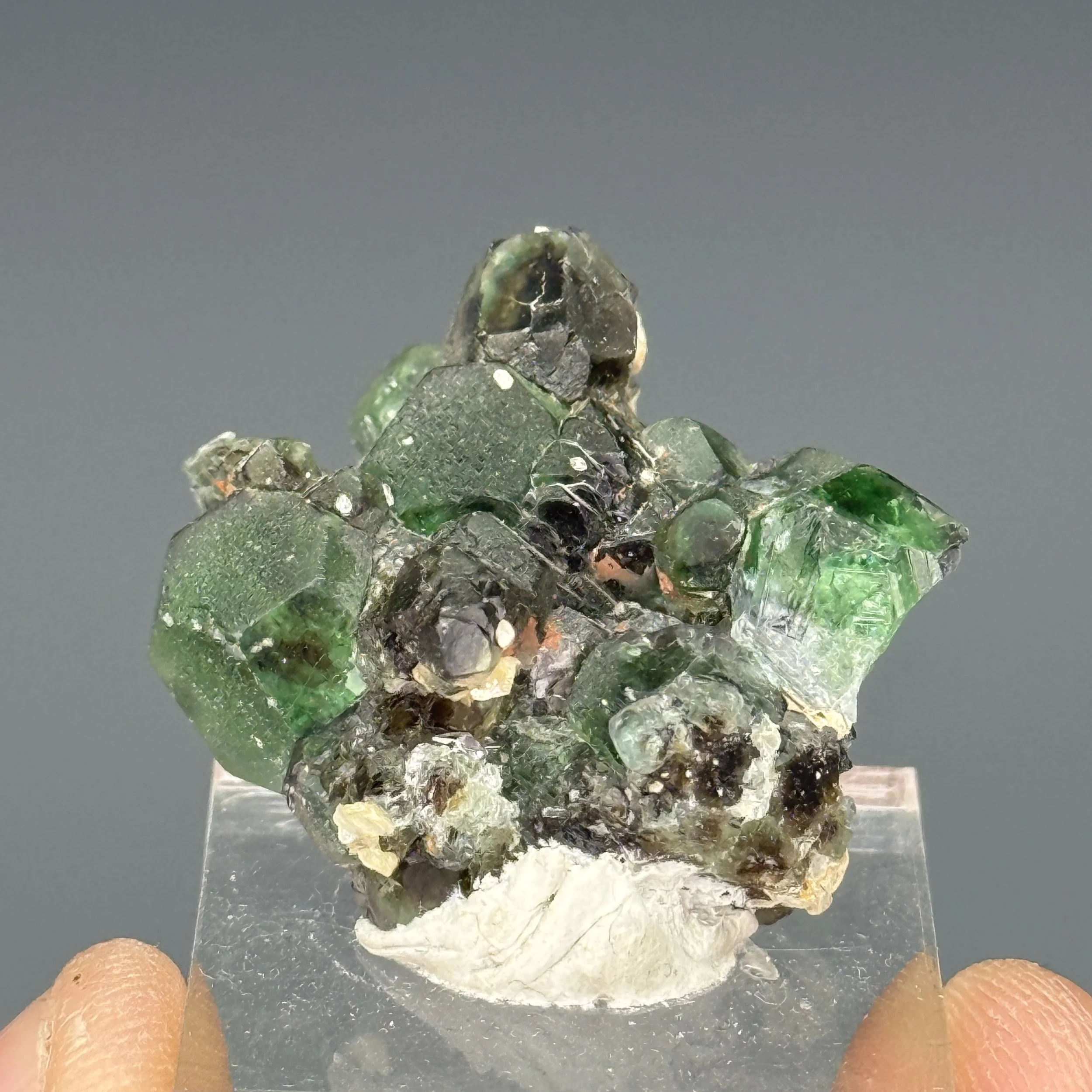 Fluorite, Erongo Mountains, Karbib District, Erongo Region, Namibia