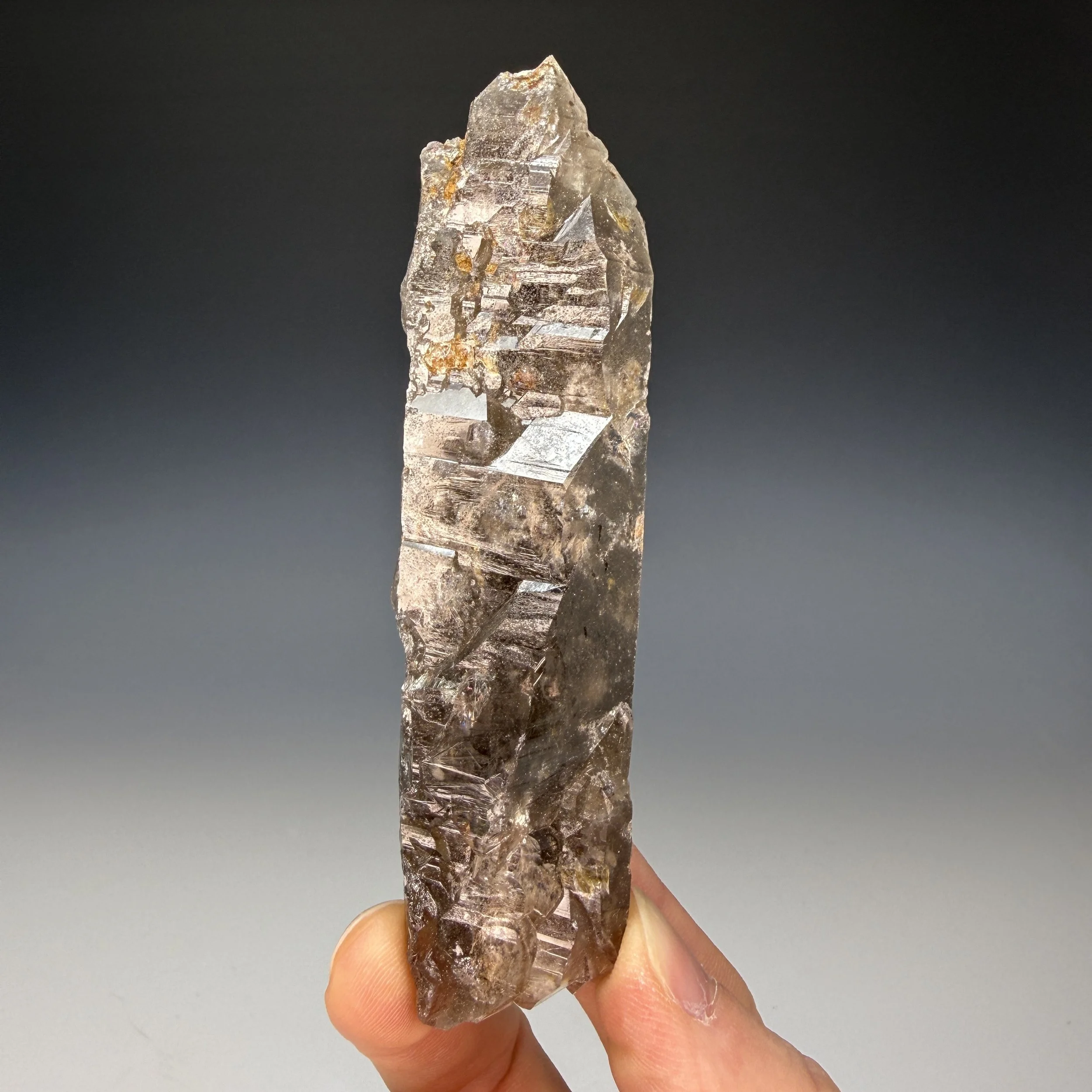 Smoky Quartz, Black and Blue Claim, Harris Park Area, Park County, Colorado, USA