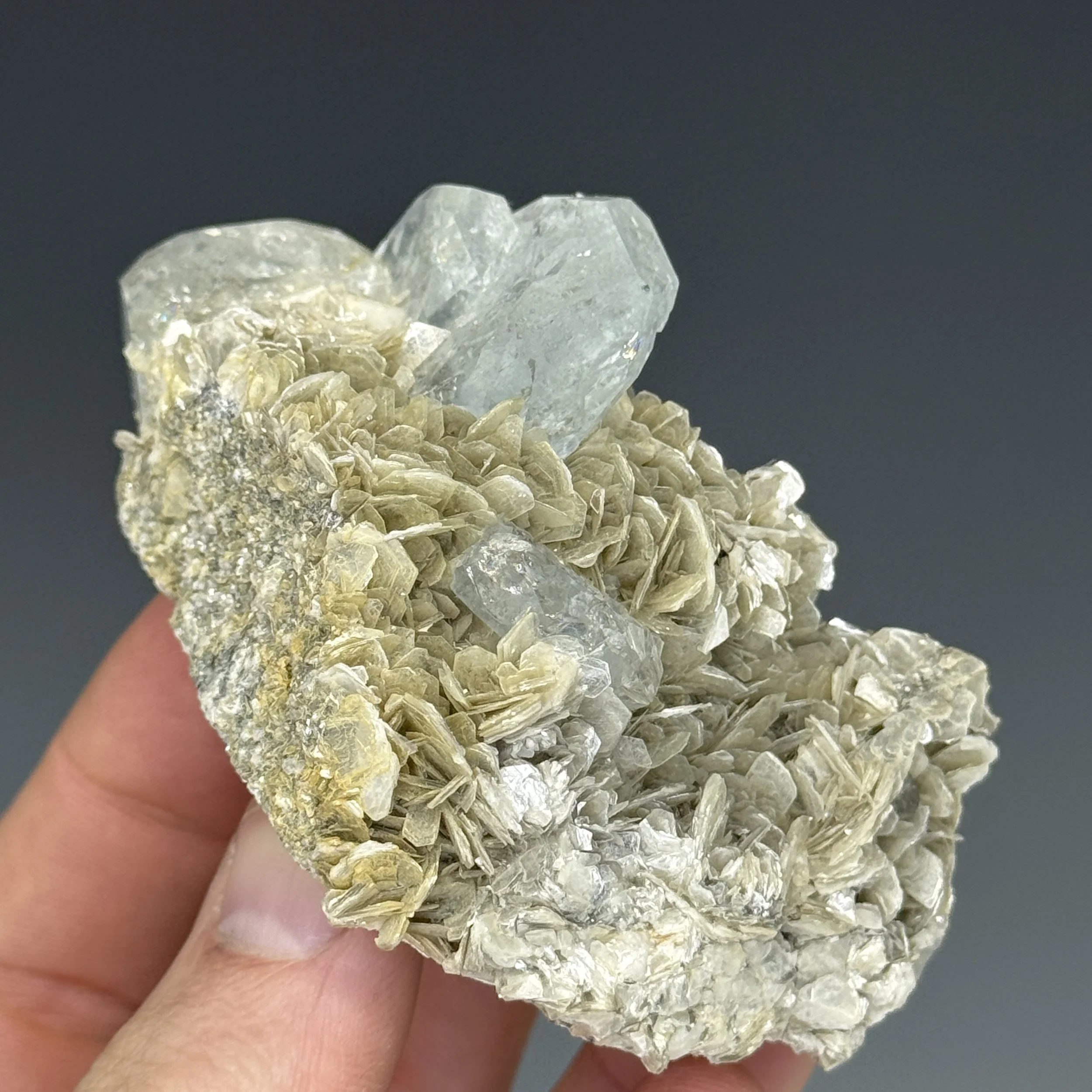 Aquamarine, Muscovite, Mt. Xuebaoding, Pingwu Co., Mianyang, Sichuan, China