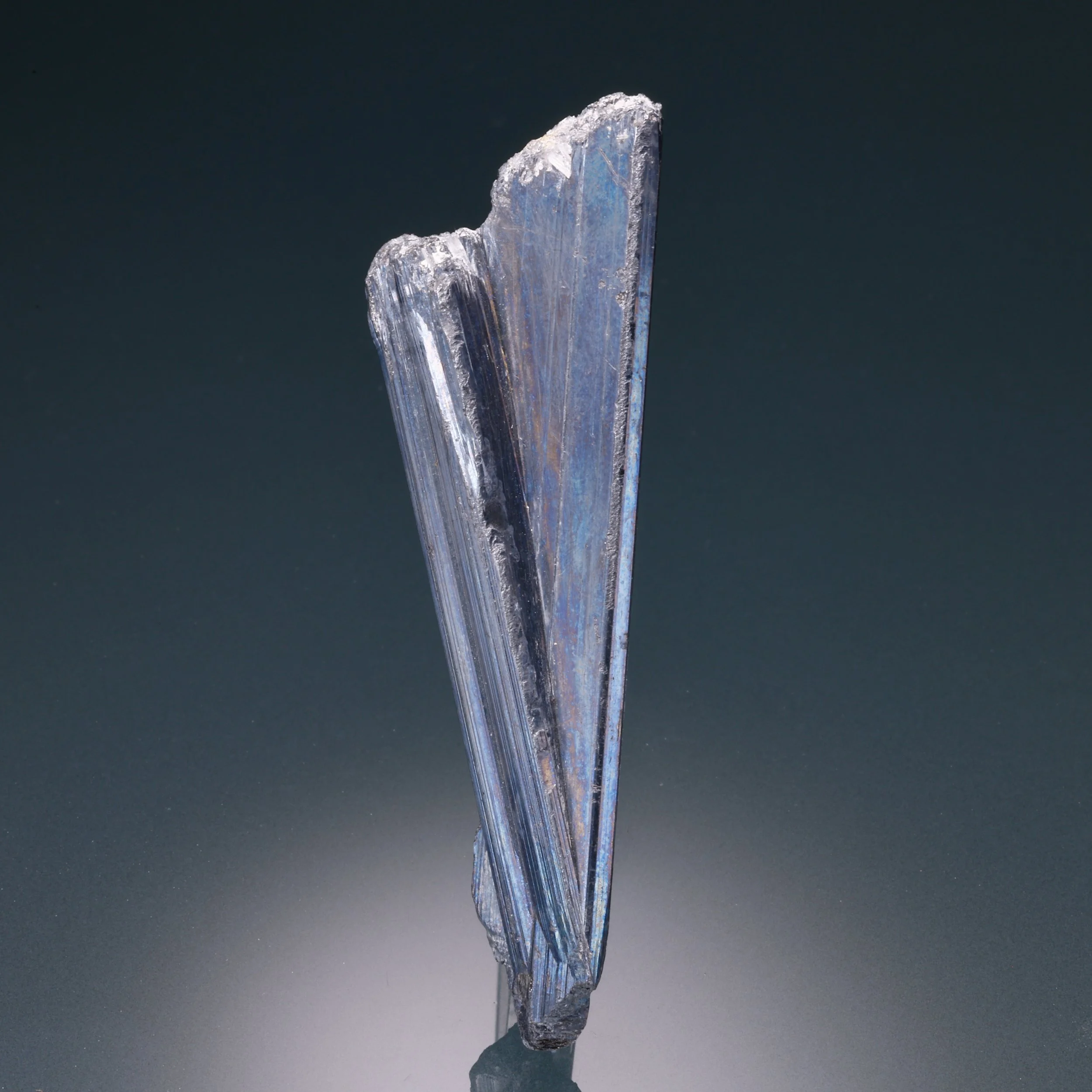 DanZellnerMineralsPhotos-2673.jpg