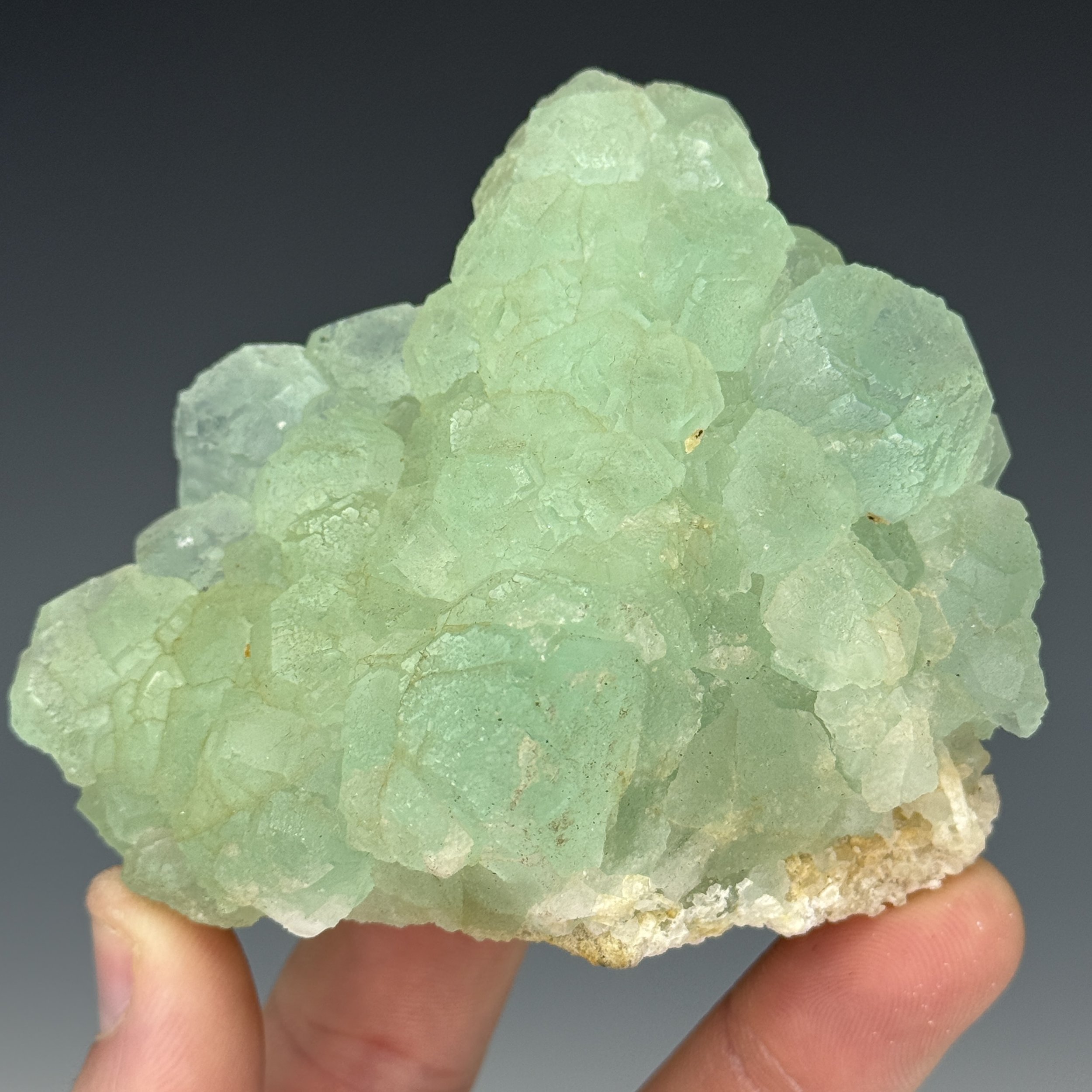 Fluorite, Deer Trail Mine, Piute County, Utah, USA