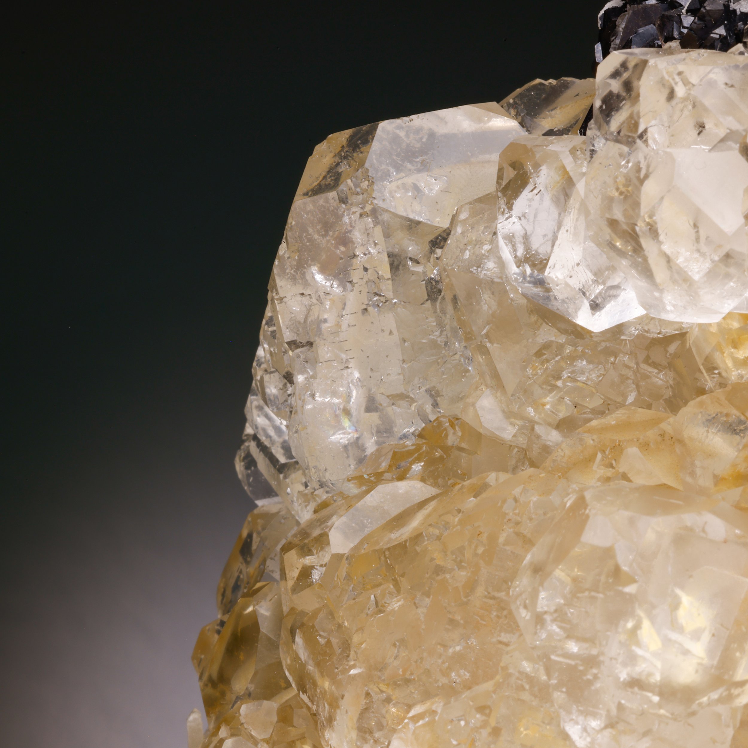 DanZellnerMineralPhotos7.15-4262.jpg