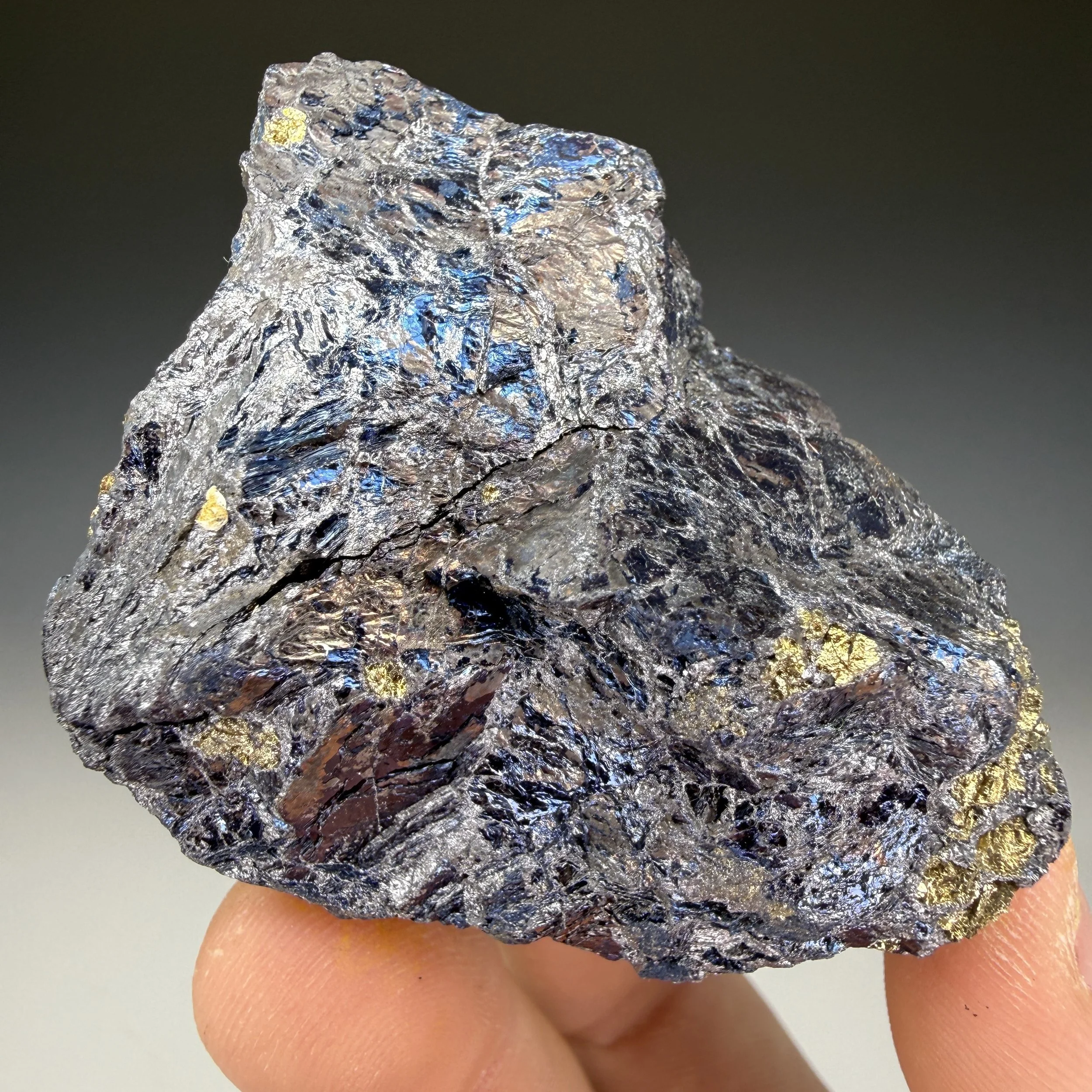Covellite, Pyrite, Butte Mining District, Silver Bow County, Montana, USA