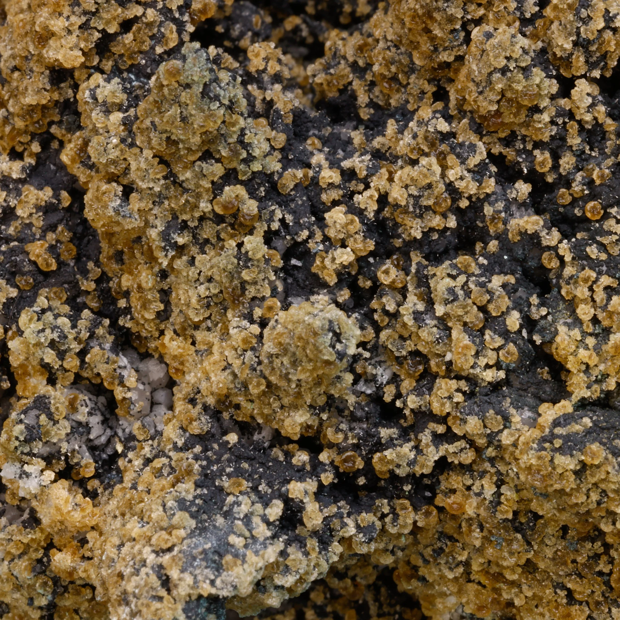 DanZellnerMineralPhotos7.15-4358.jpg